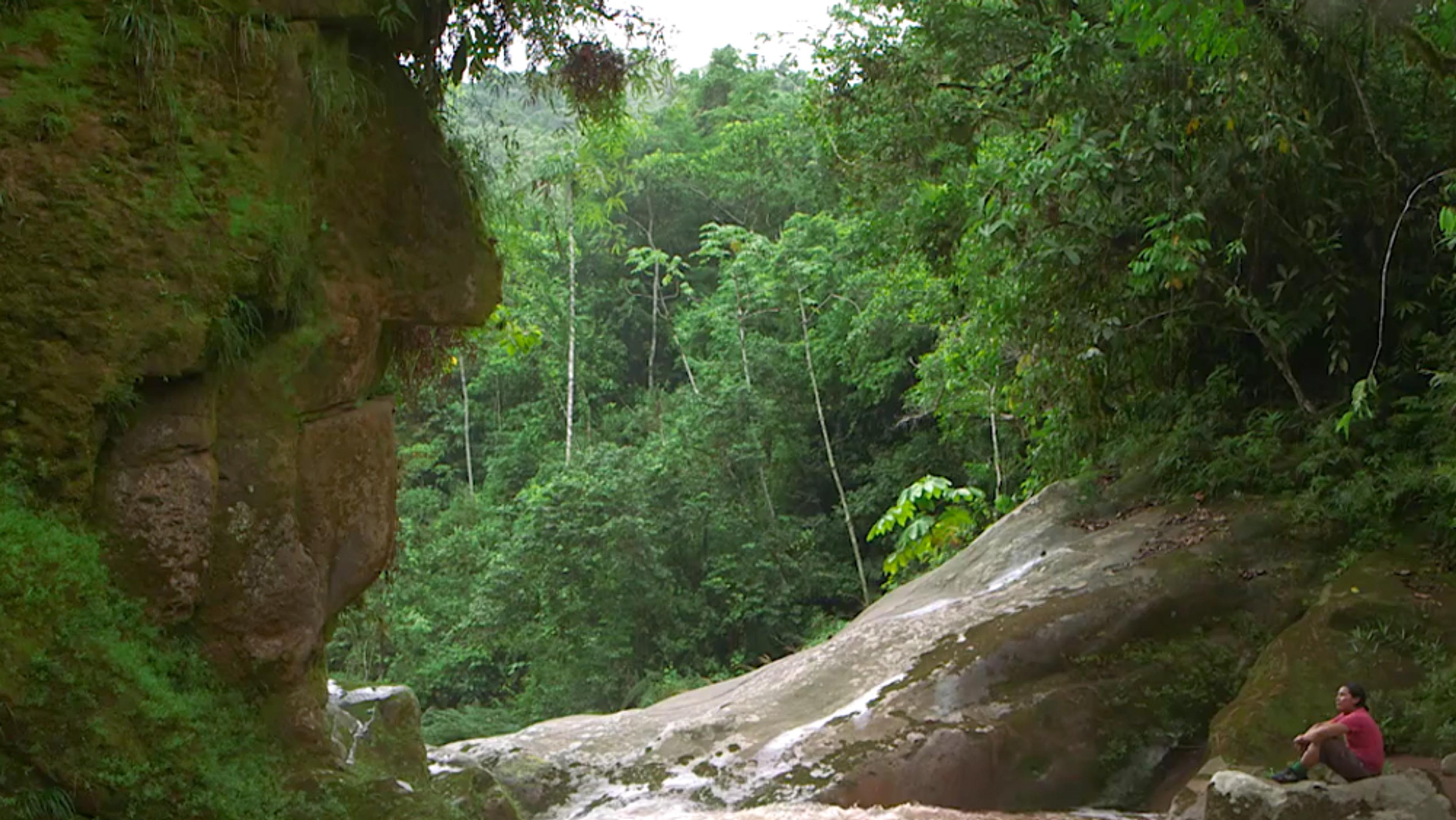 A lush forest scene with a large moss-covered rock and a person in a red shirt sitting on a slope, gazing at the greenery.