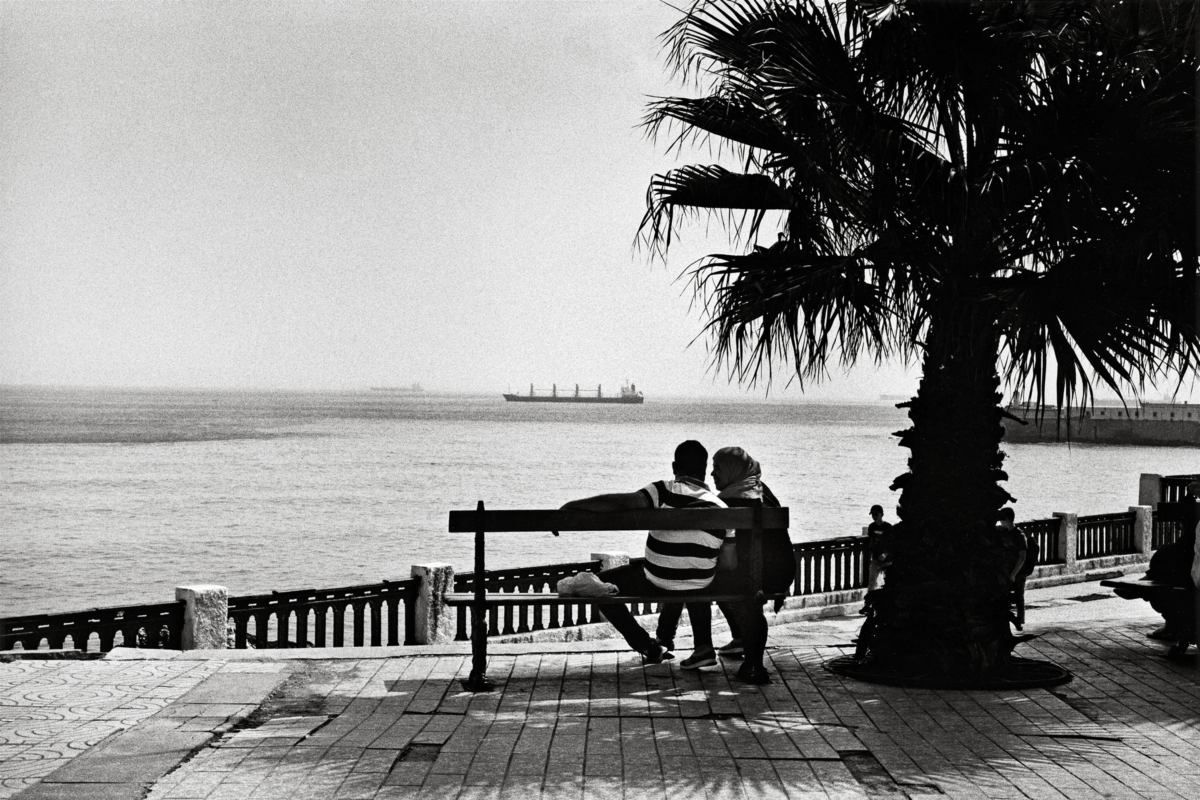 Black and white photo of a couple sitting on a bench by the sea with a ship in the distance and a palm tree nearby.