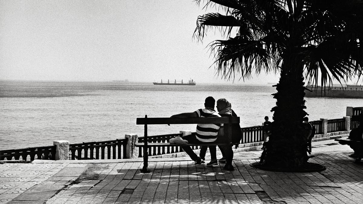 Black and white photo of a couple sitting on a bench by the sea with a ship in the distance and a palm tree nearby.