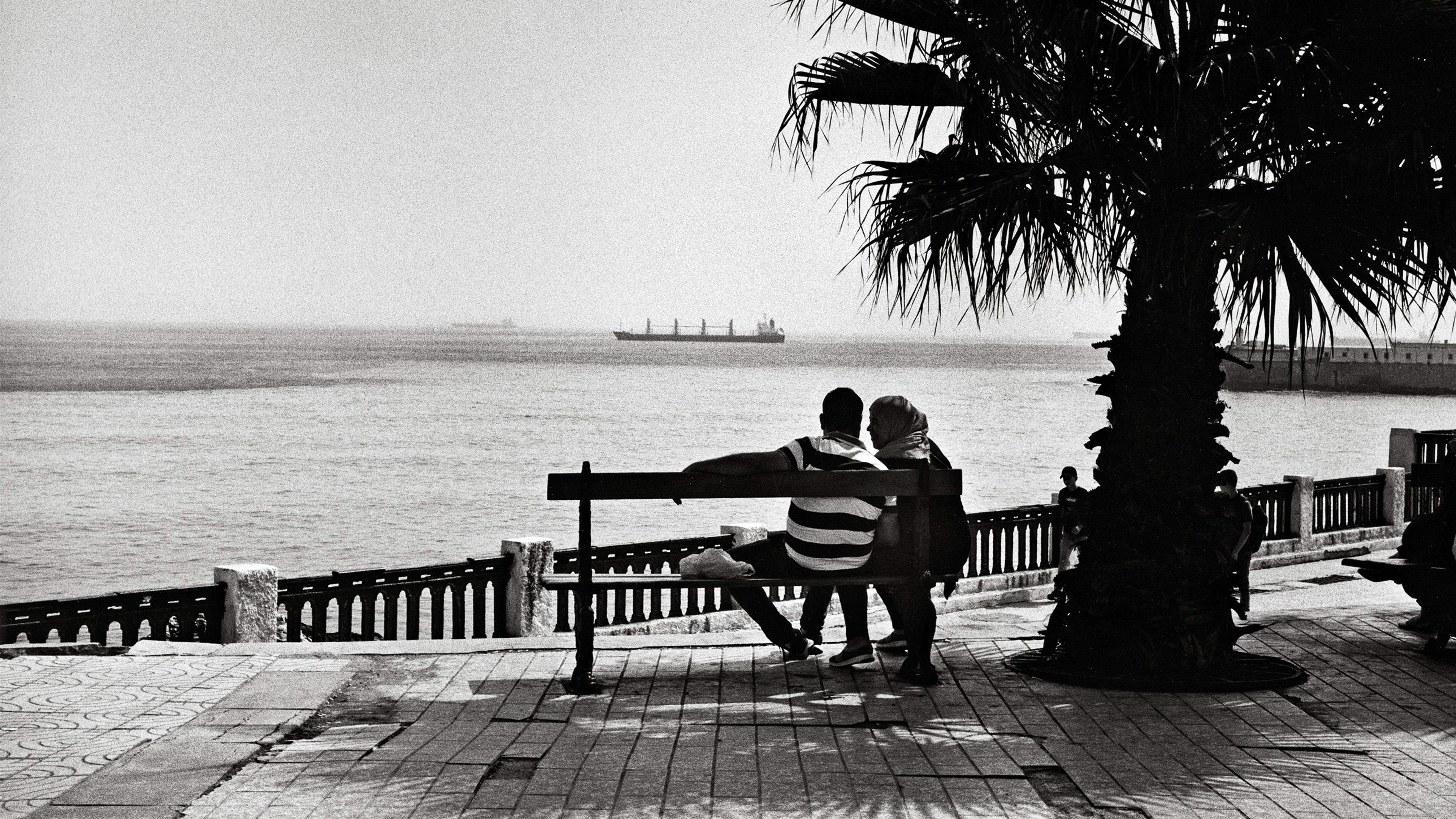Fotografía en blanco y negro de una pareja sentada en un banco junto al mar, con un barco a lo lejos y una palmera cerca.