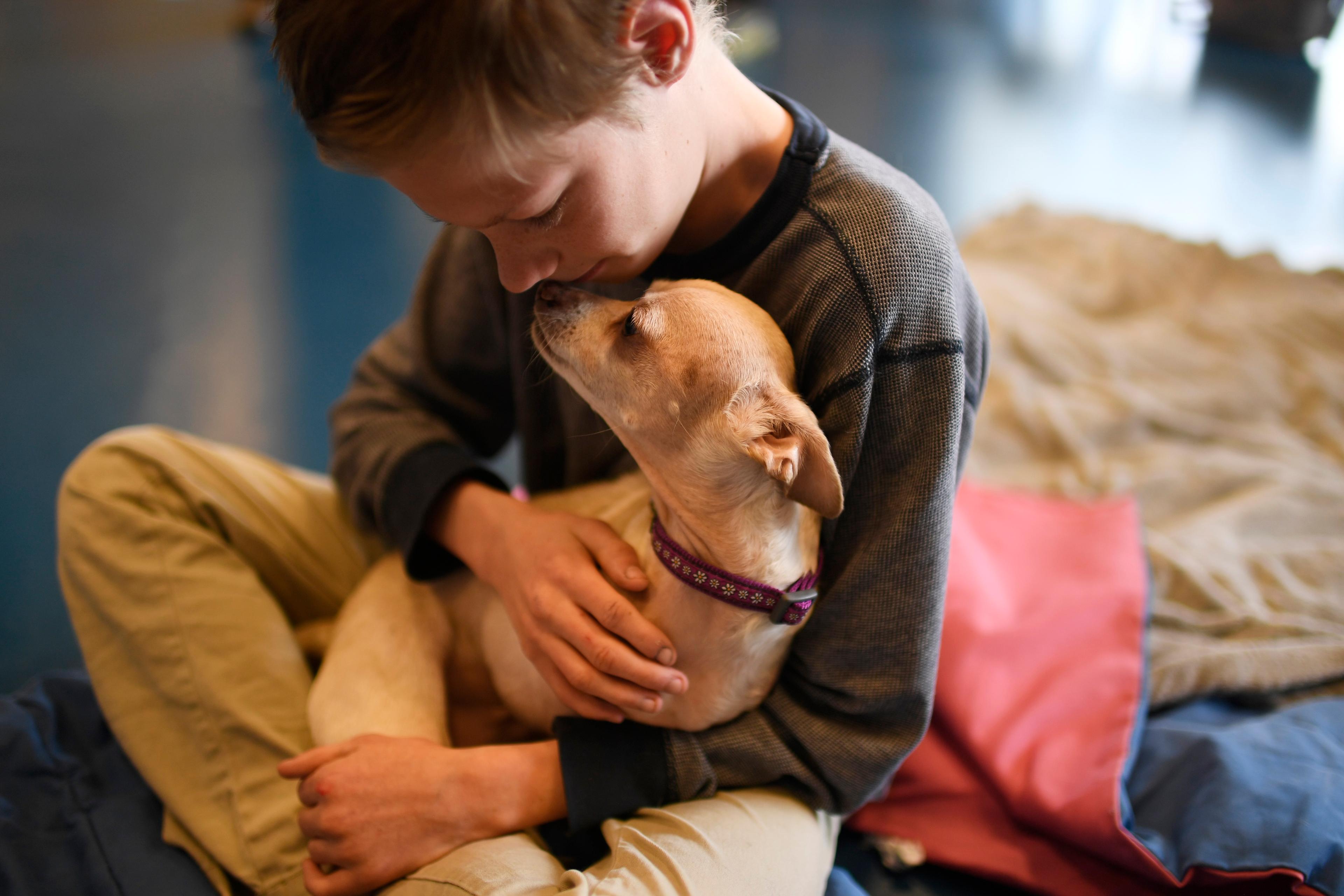 Photo of a child cuddling a small dog, sitting on a blanket indoors. The child gently rests their face against the dog.