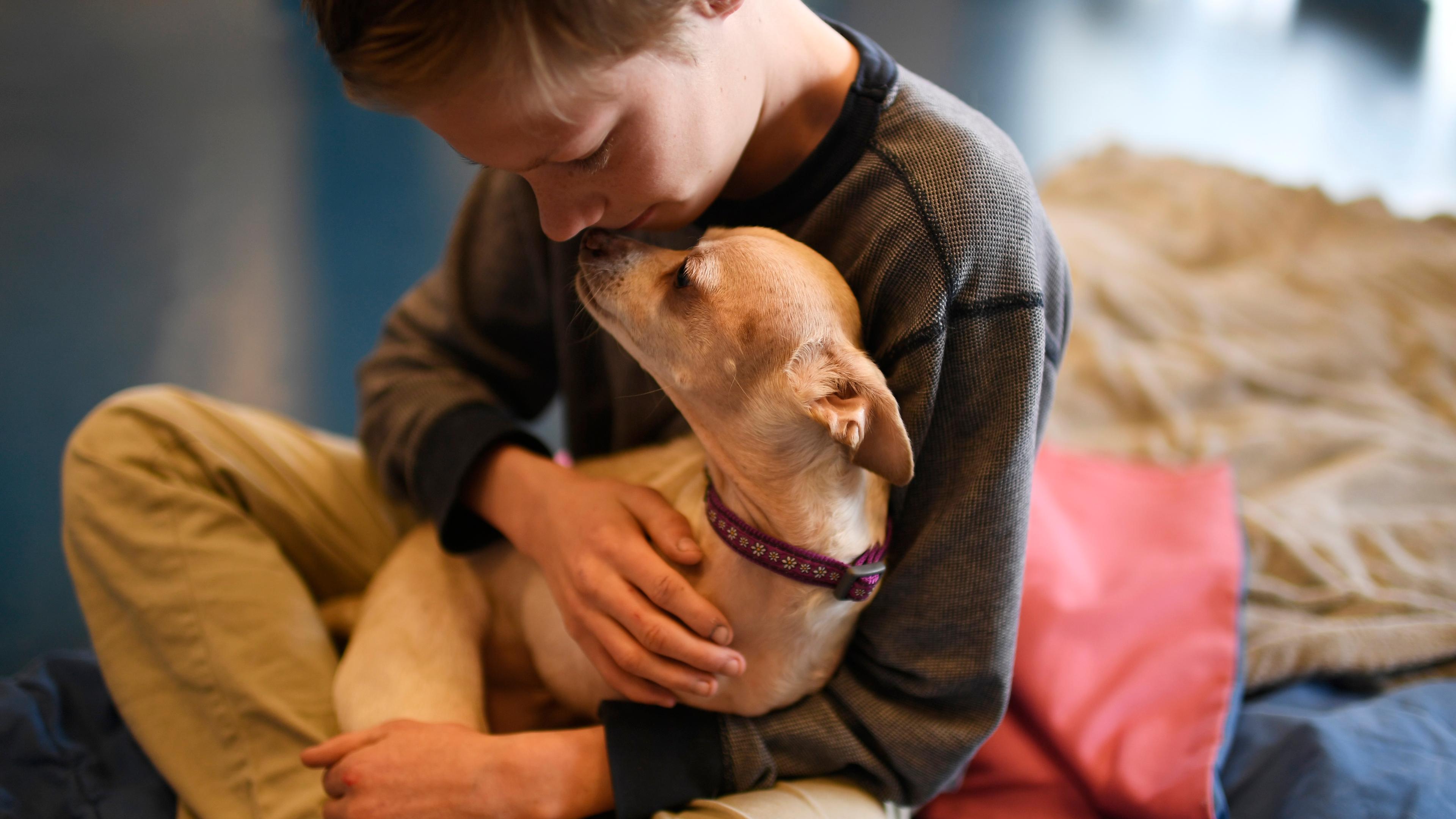 Photo of a child cuddling a small dog, sitting on a blanket indoors. The child gently rests their face against the dog.