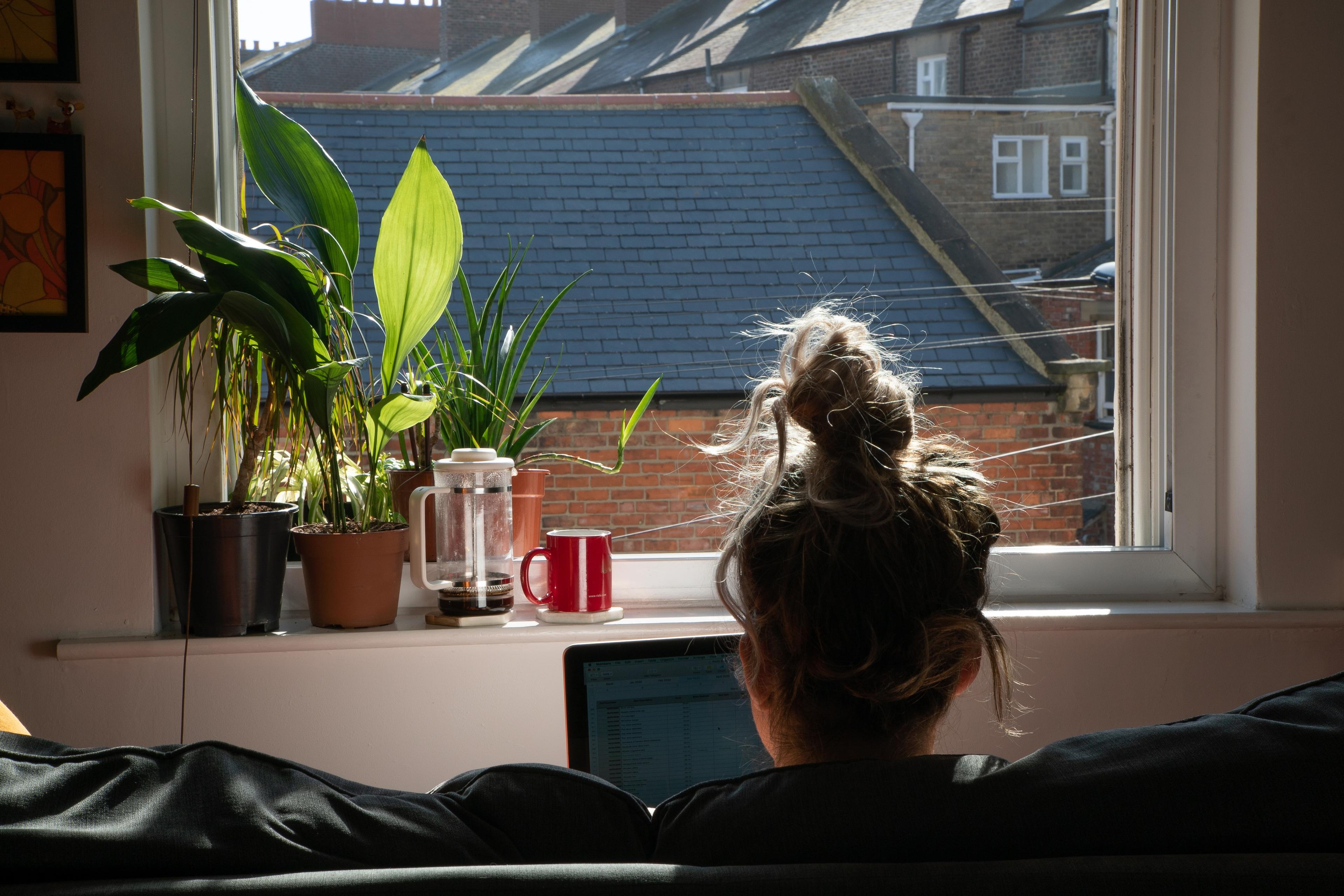 Photo of a person at a computer by a window with potted plants, framed by rooftops outside, mug and French press nearby.