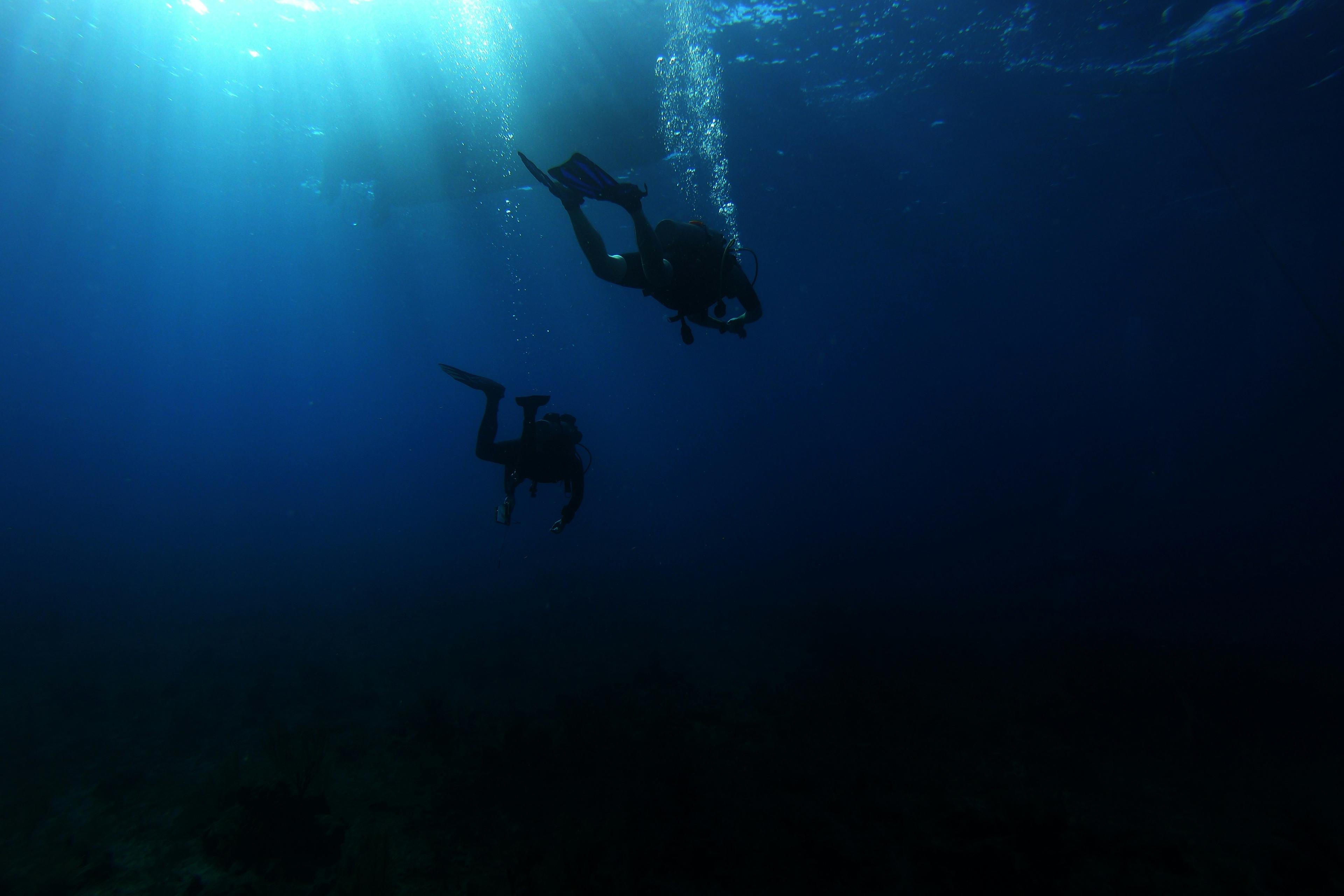 Two scuba divers swimming underwater with sunlight filtering through the surface.
