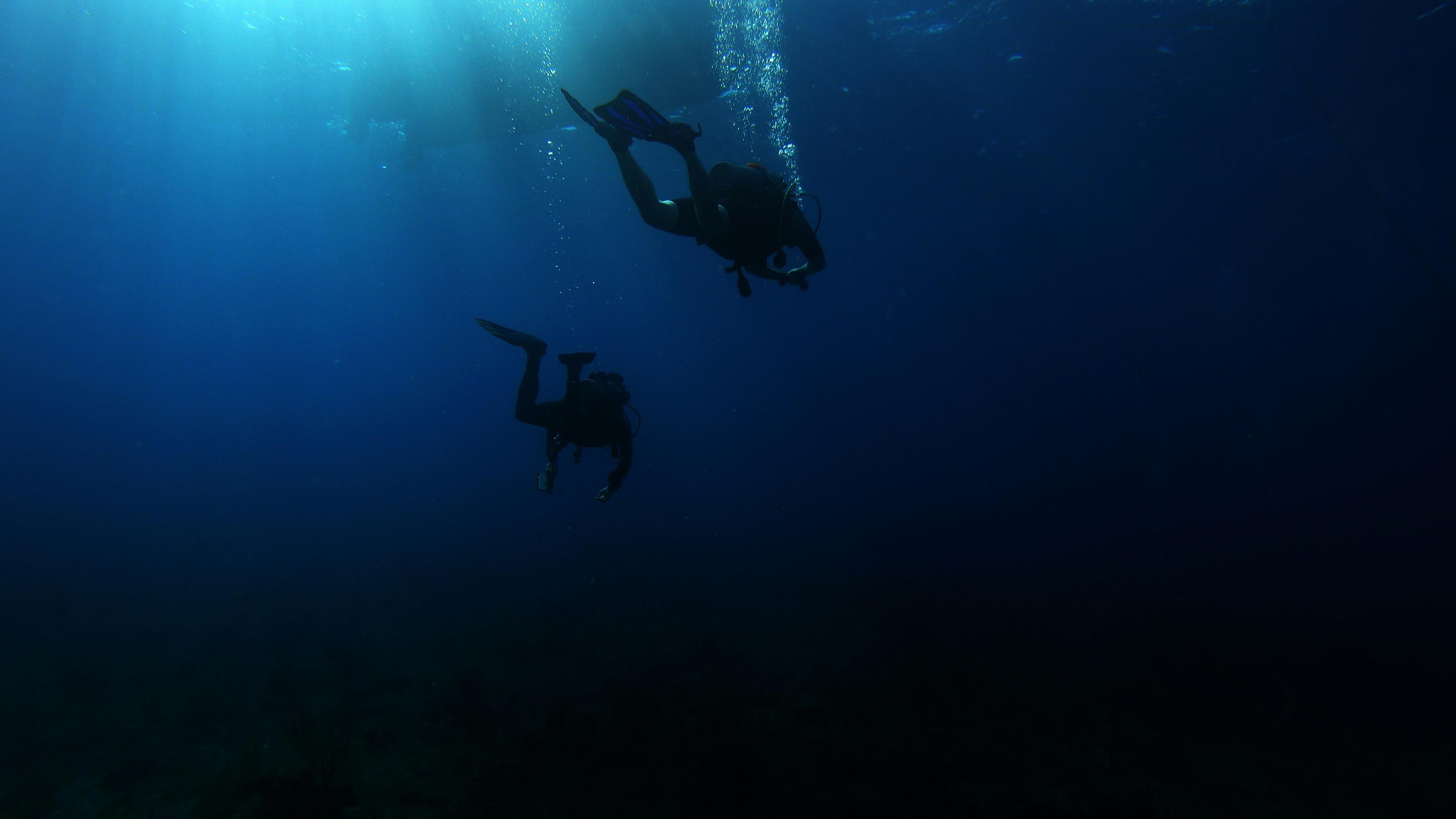 Two scuba divers swimming underwater with sunlight filtering through the surface.