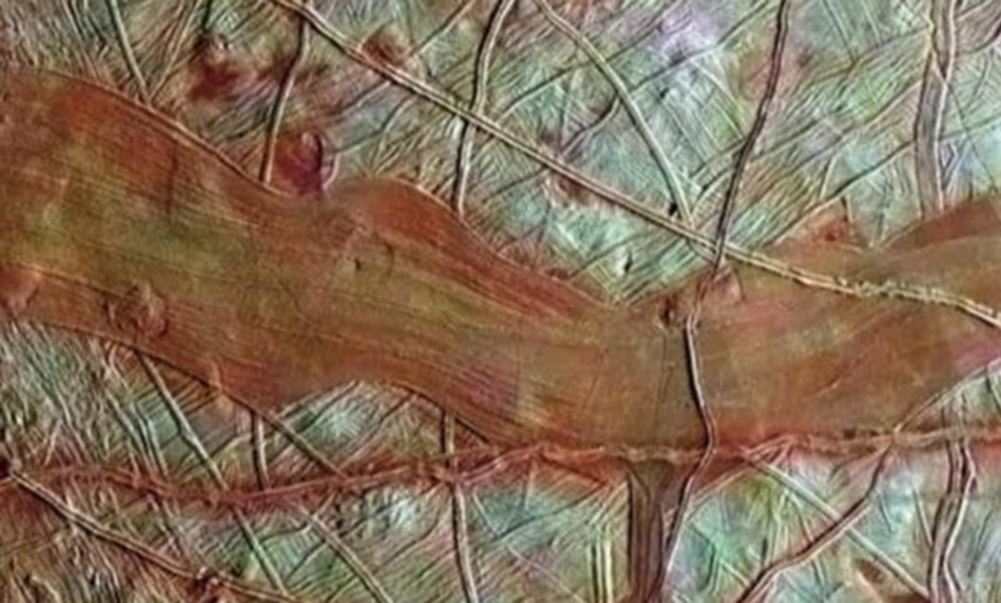 <p>A colourized detail of Europa’s surface. <em>Photo NASA/JPL-Caltech/SETI Institute</em></p>