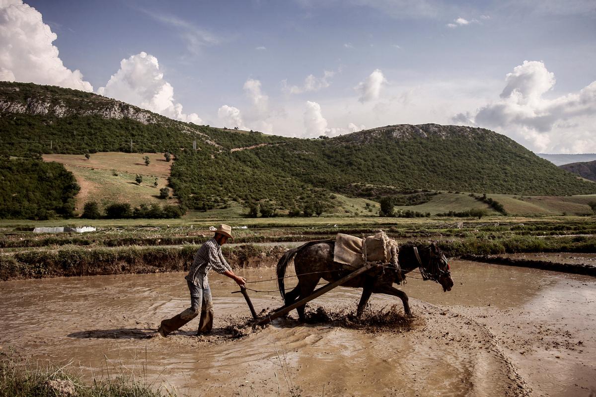 A farmer in a hat ploughing a muddy field with a horse in a scenic hilly landscape under cloudy sky.
