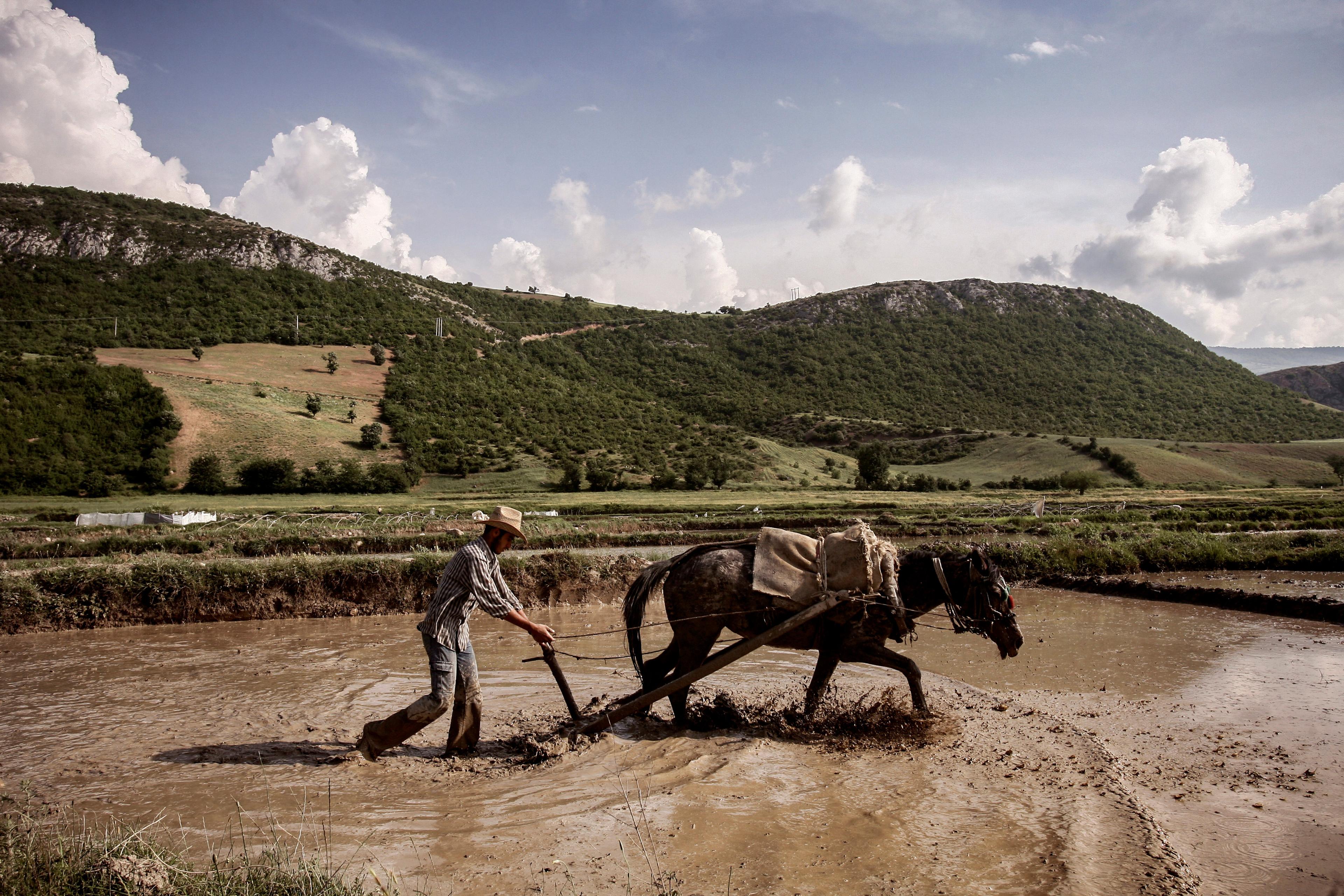 A farmer in a hat ploughing a muddy field with a horse in a scenic hilly landscape under cloudy sky.