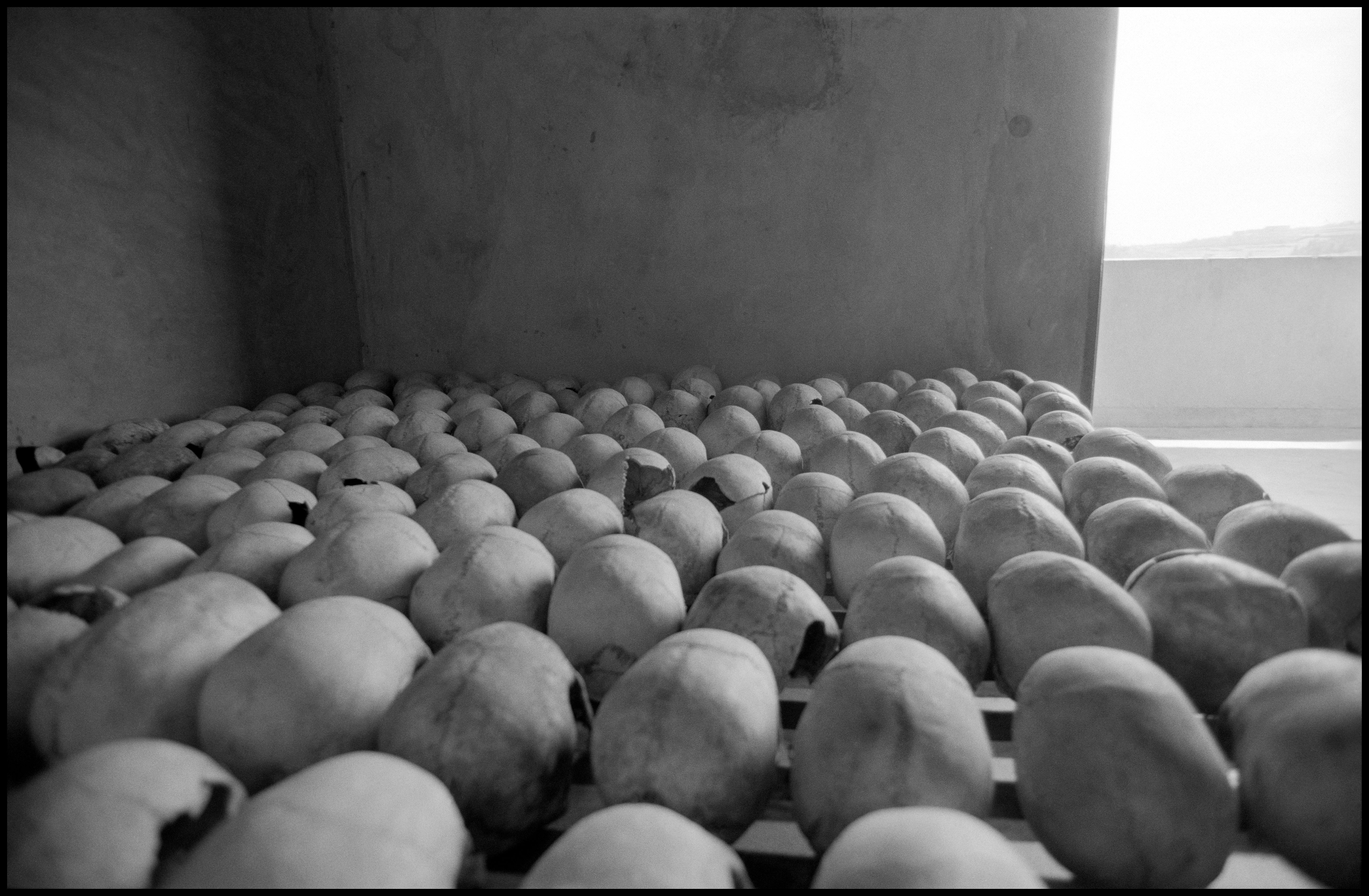 Black and white photo of rows of skulls on shelves in a dimly lit room, conveying a sombre and historical atmosphere.
