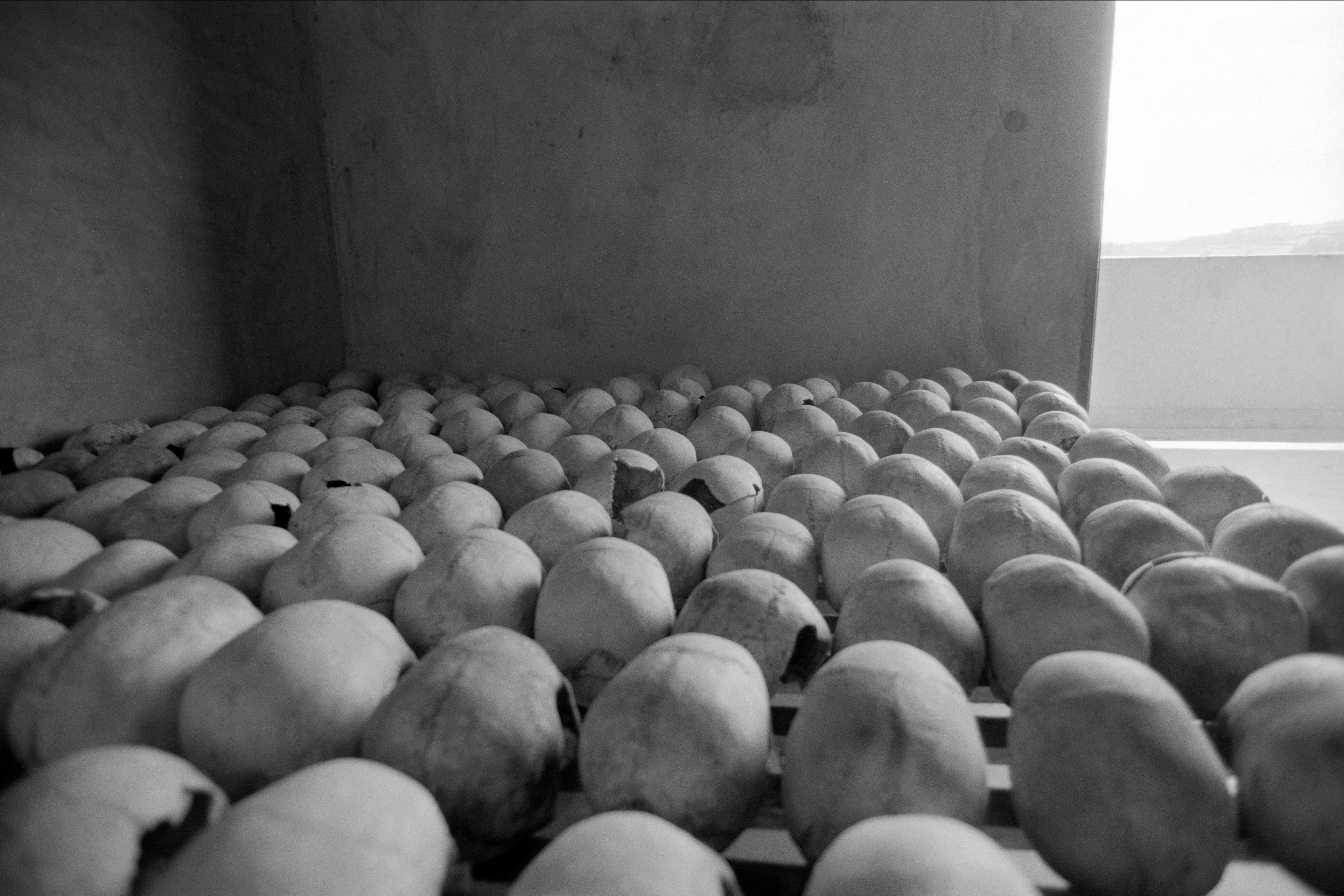 Black and white photo of rows of skulls on shelves in a dimly lit room, conveying a sombre and historical atmosphere.