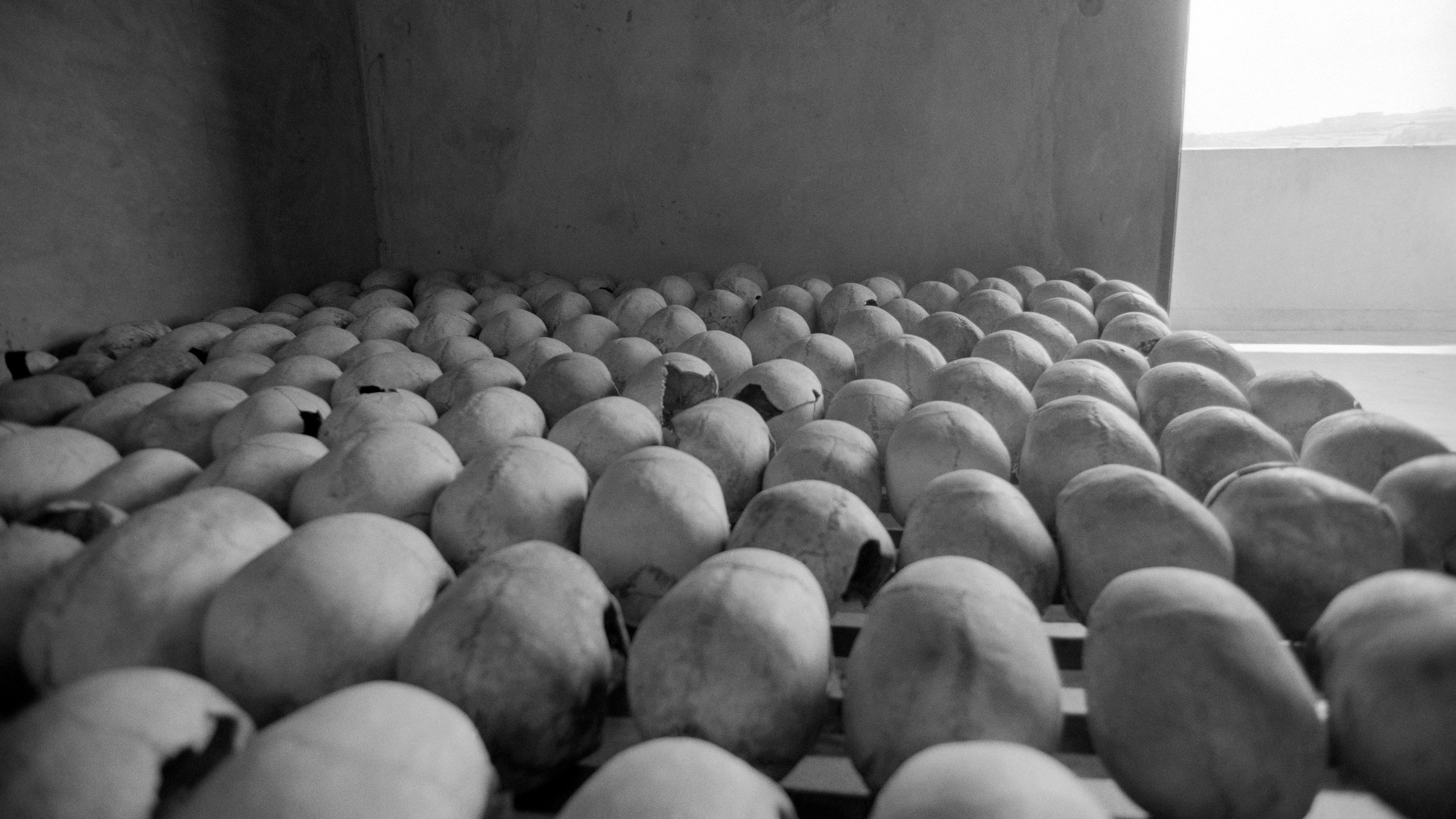 Black and white photo of rows of skulls on shelves in a dimly lit room, conveying a sombre and historical atmosphere.
