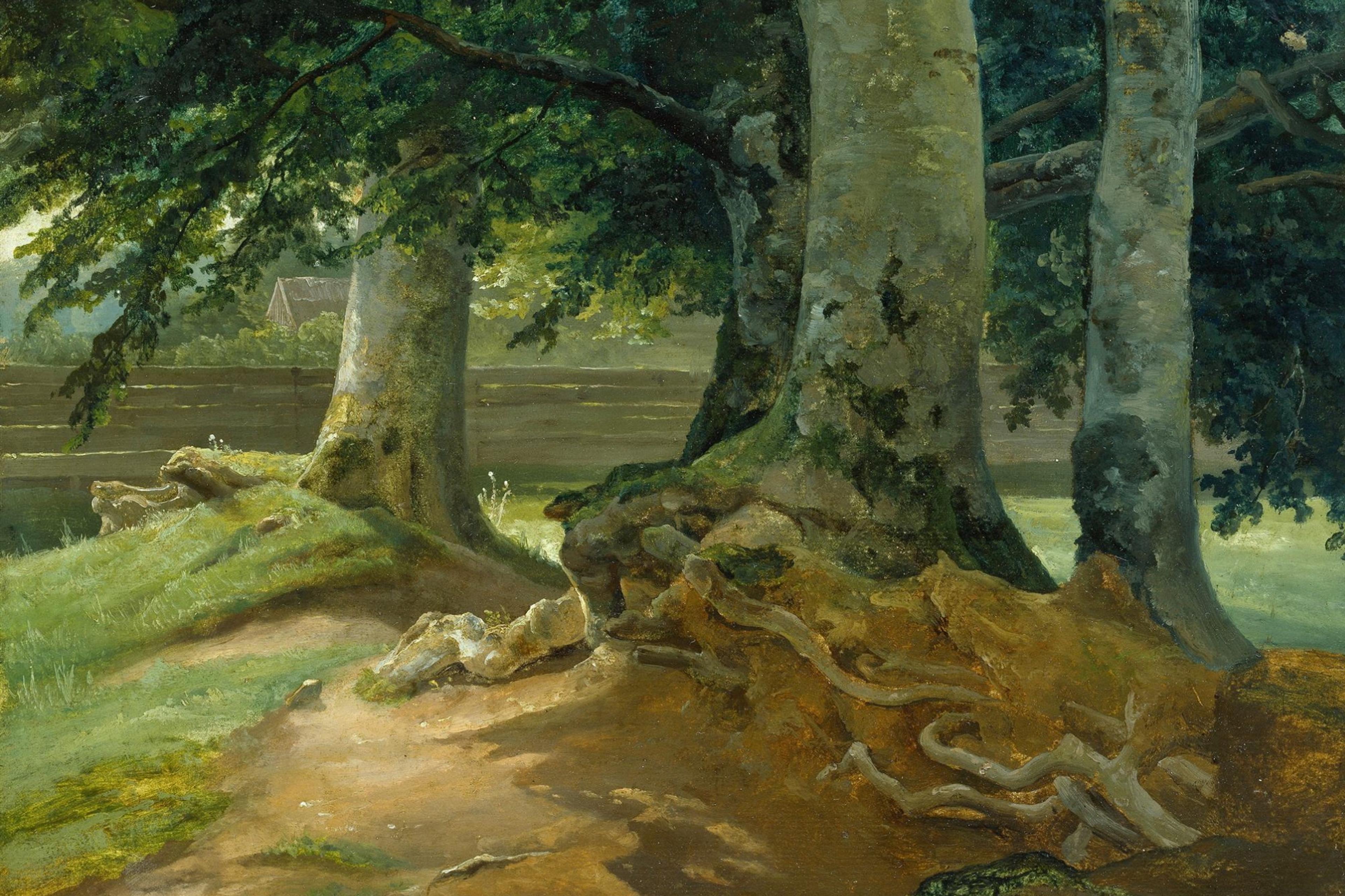 Painting of large trees with exposed roots in a forest, sunlight filtering through leaves, house visible in the background.
