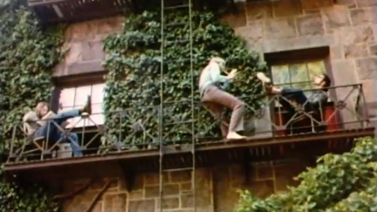 Een zoektocht naar antwoorden