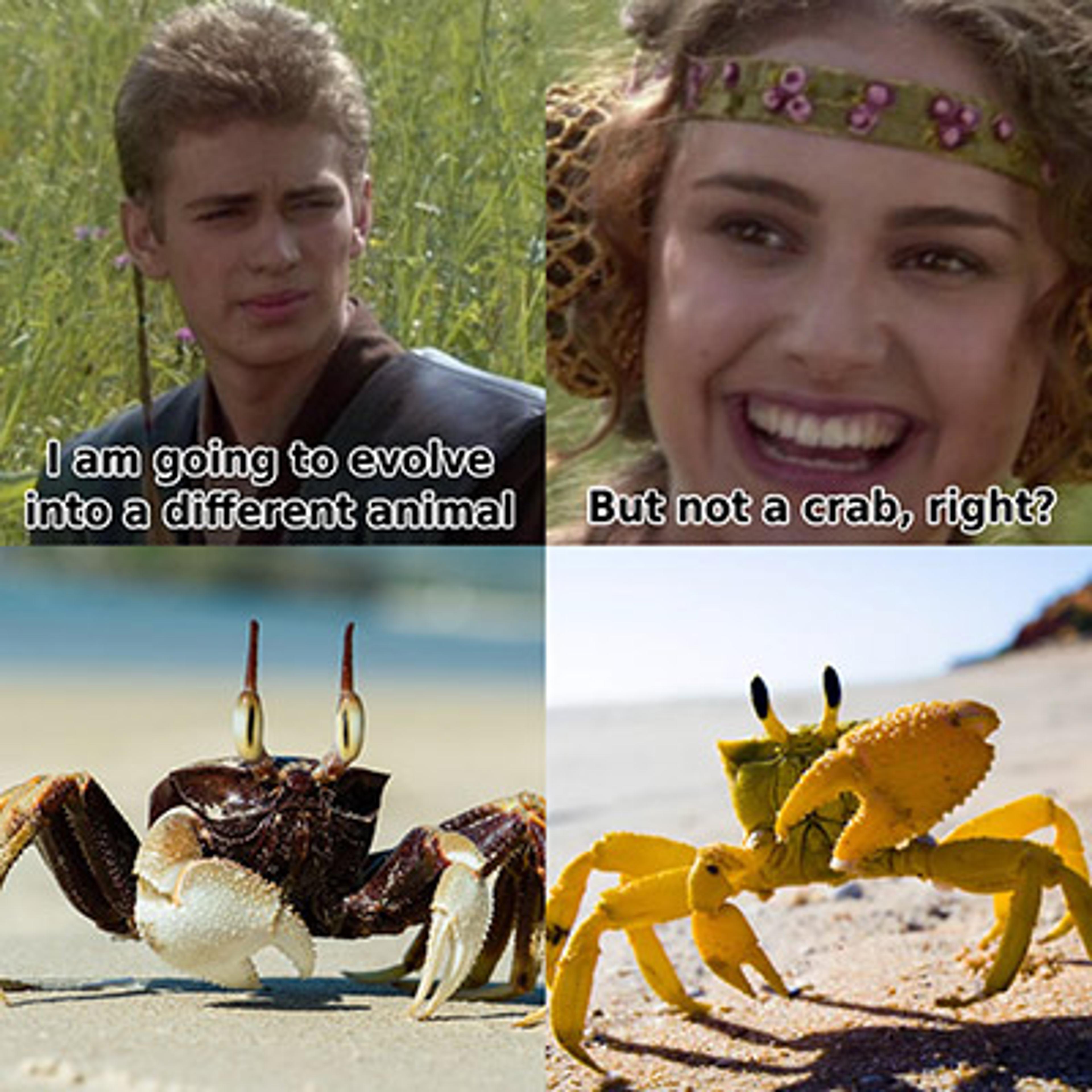 Meme with two people talking about evolving into animals contrasted with two images of crabs on a beach.