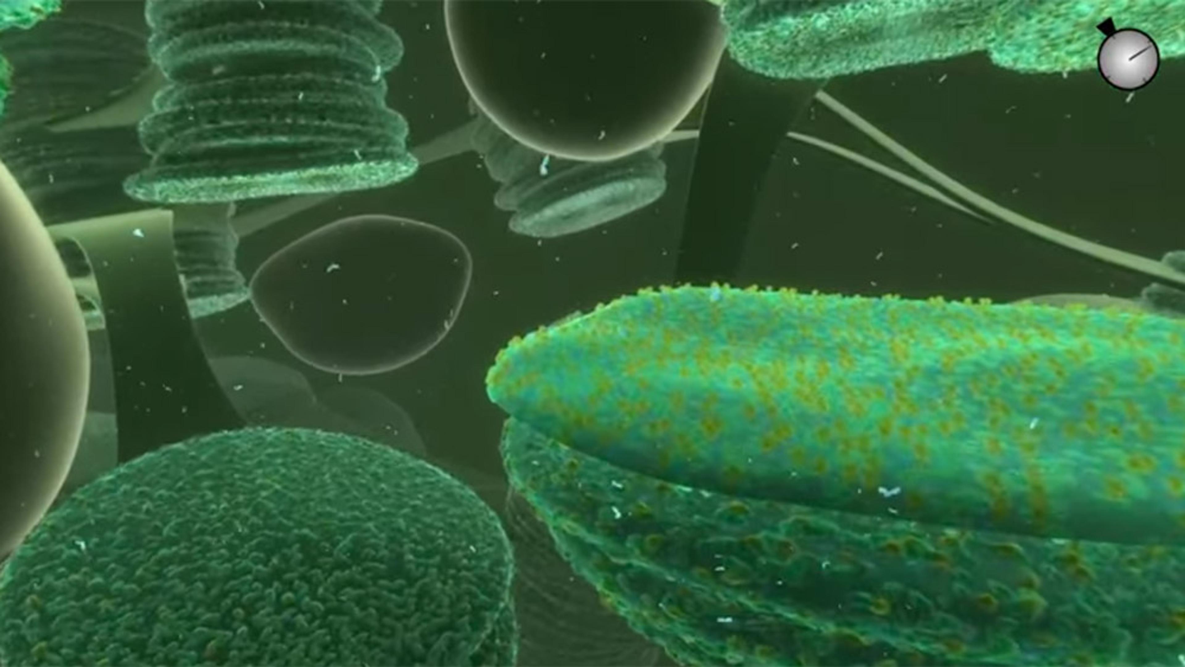 Digital rendering of green cellular structures and organelles under a microscope in a fluid environment with a grey clock icon.