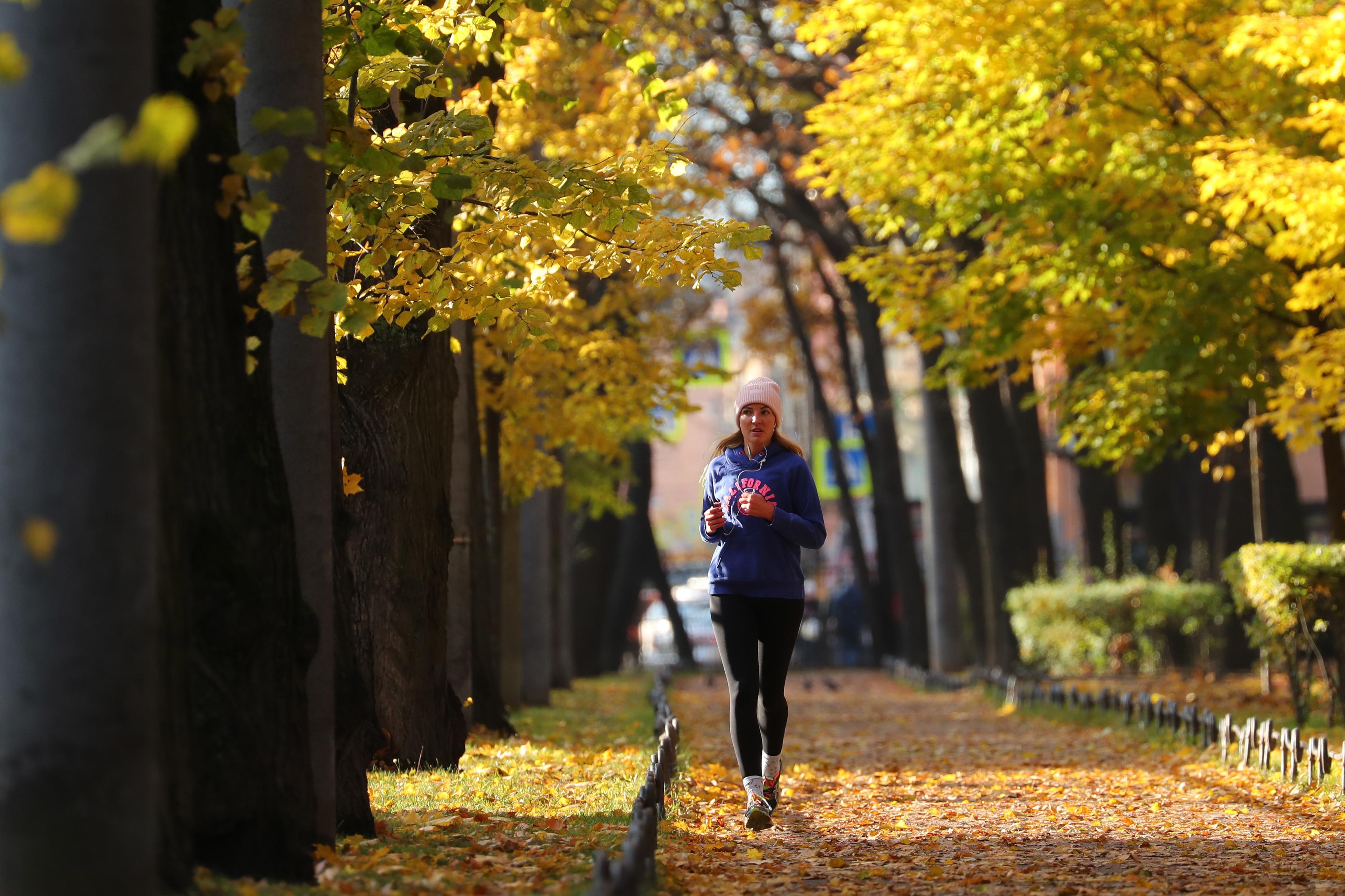 Photo of a person jogging on a leaf-covered path flanked by trees with bright yellow autumn leaves.