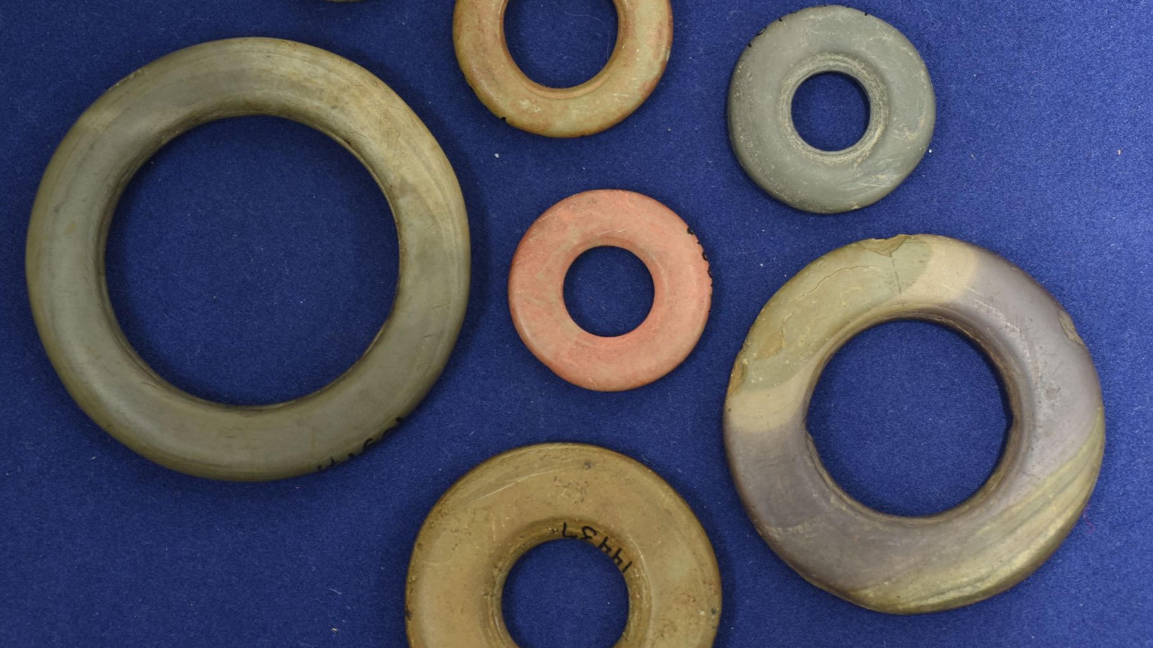 Photo of eight varied stone doughnut-shaped artefacts on a blue background with a 5 cm scale bar.