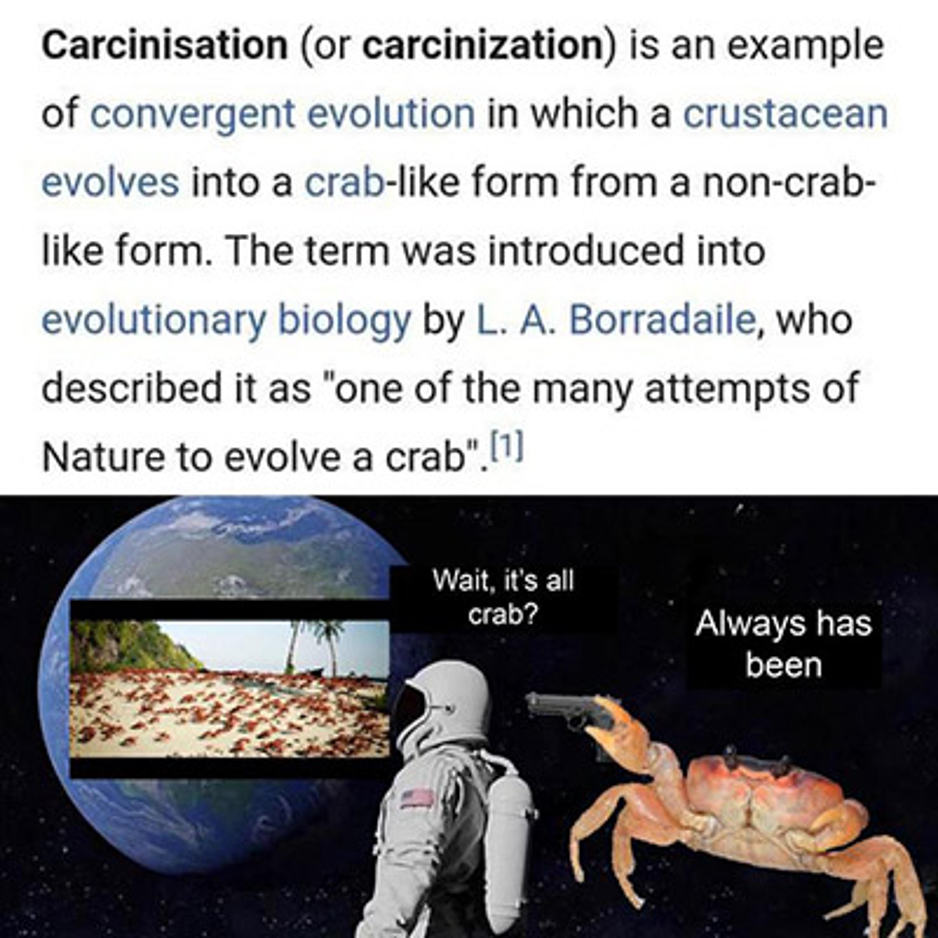 Comic illustrating carcinisation with an astronaut discovering everything is a crab, set against space.