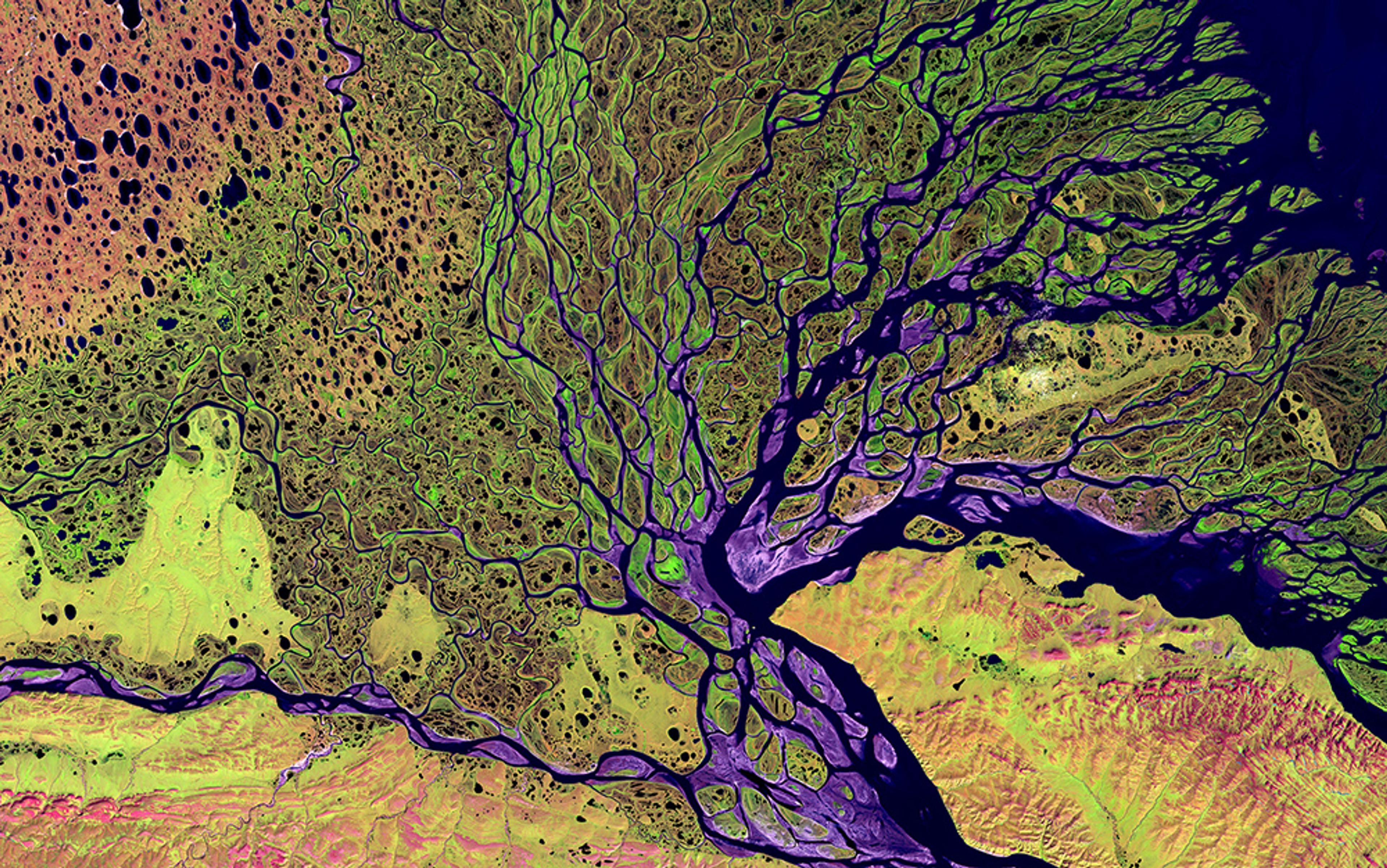 Satellite image of a river delta with meandering channels, green and yellow vegetation, and blue waters, creating a network-like pattern.
