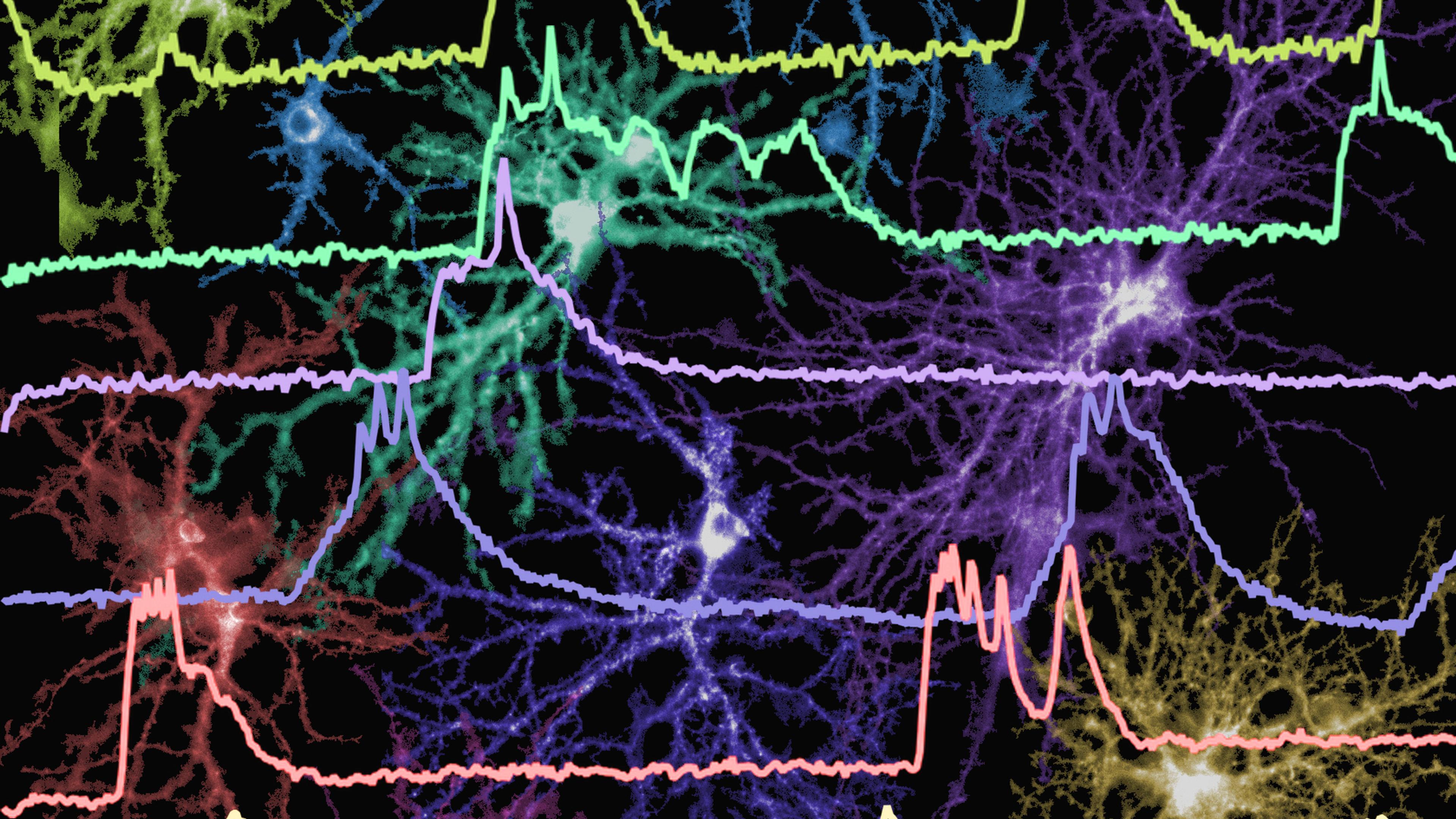 Colourful digital illustration of neuron activity overlaid with graph lines showing brainwave patterns on a black background.
