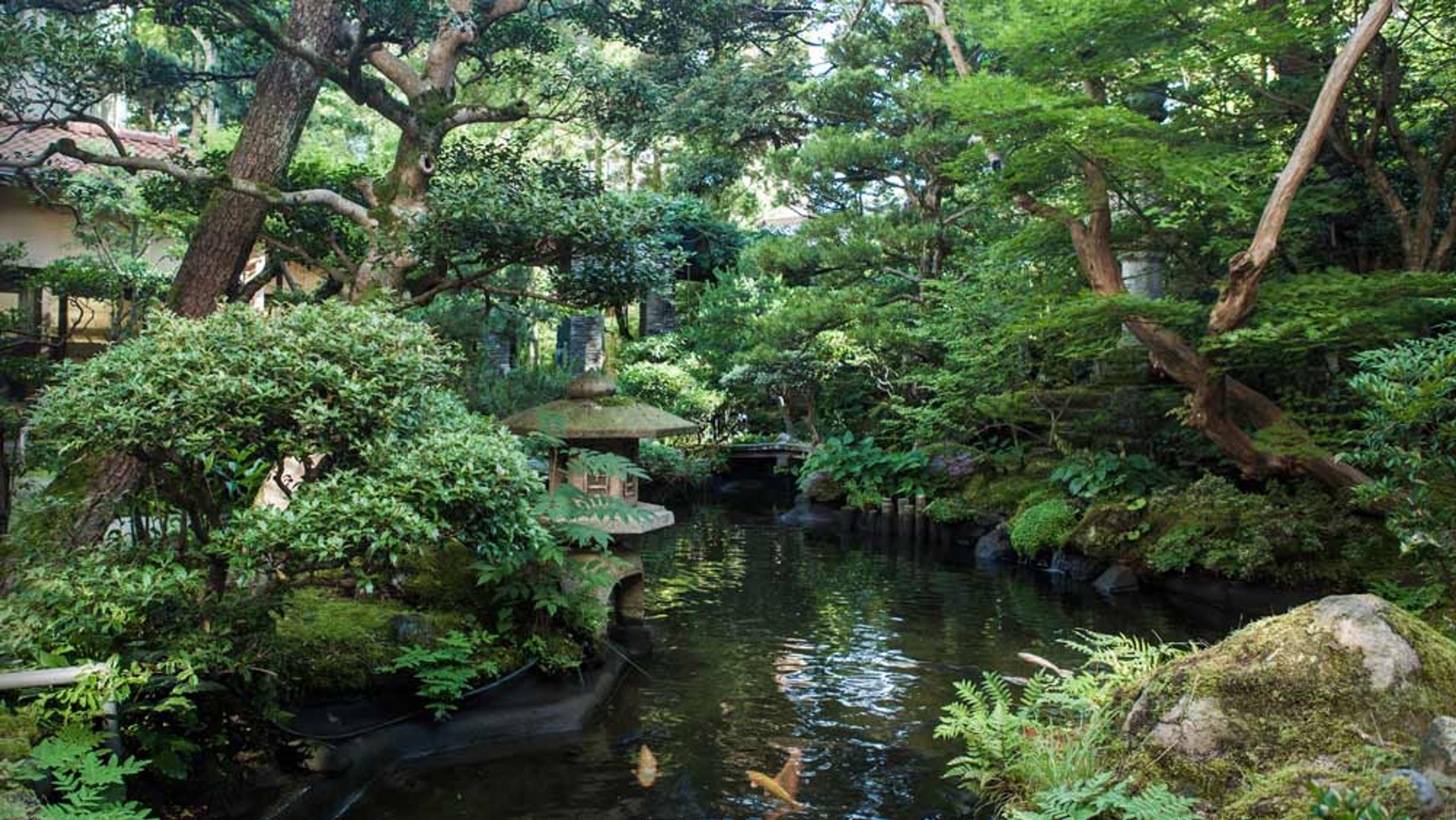 A lush Japanese garden with a pond, trees, and a stone lantern. A koi fish swims in the water surrounded by greenery.