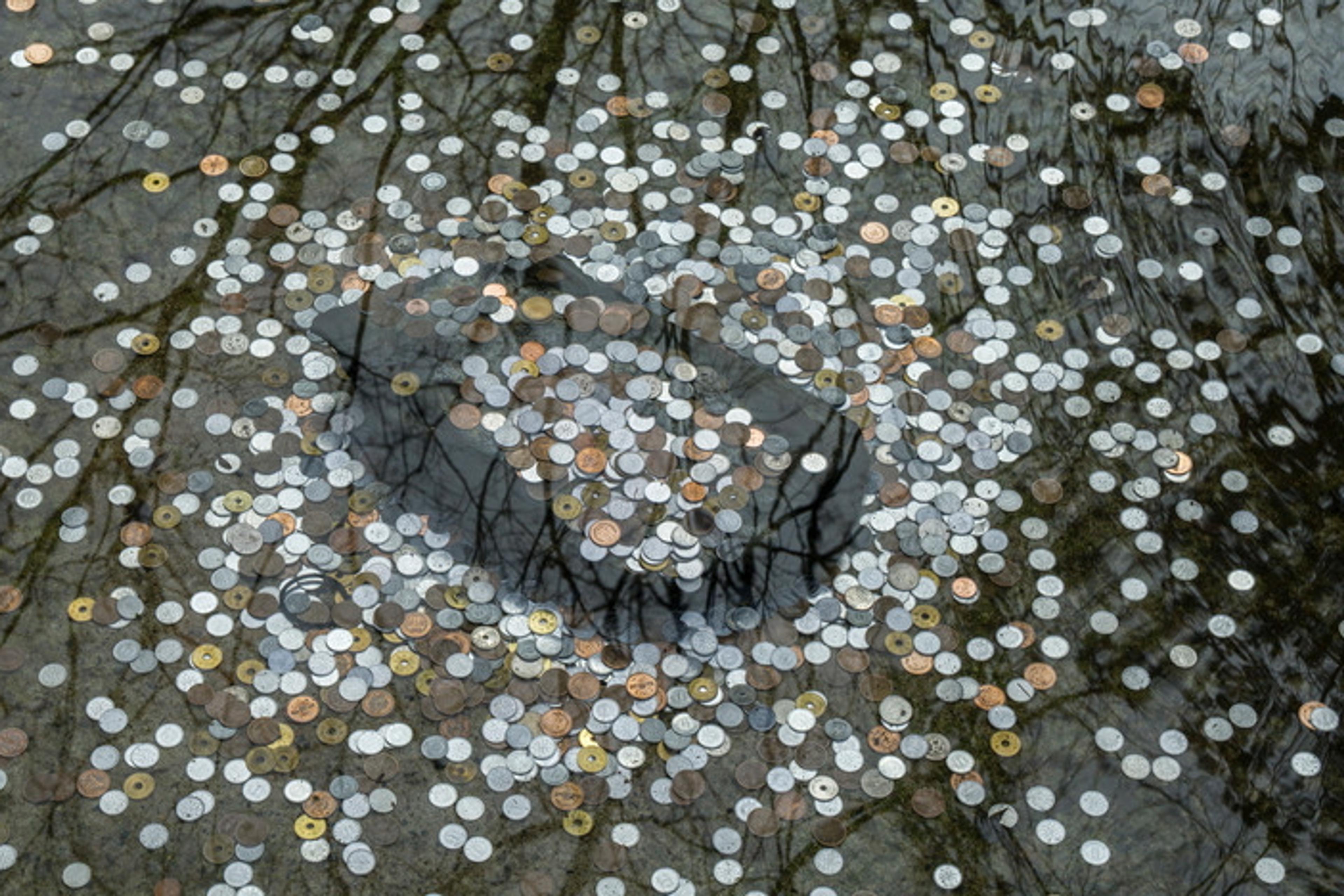 Photo of coins scattered at the bottom of a pond with tree branches reflected on the water’s surface.