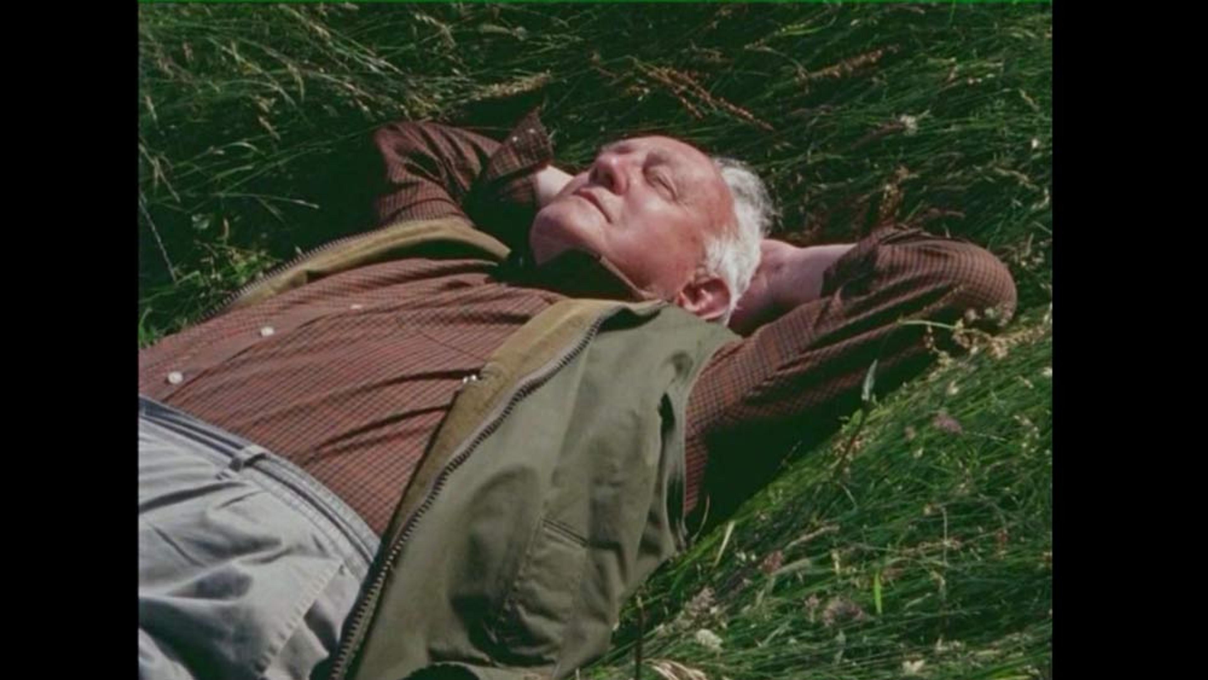 An elderly man in a green jacket lying on grass with his hands behind his head and eyes closed, basking in sunlight.