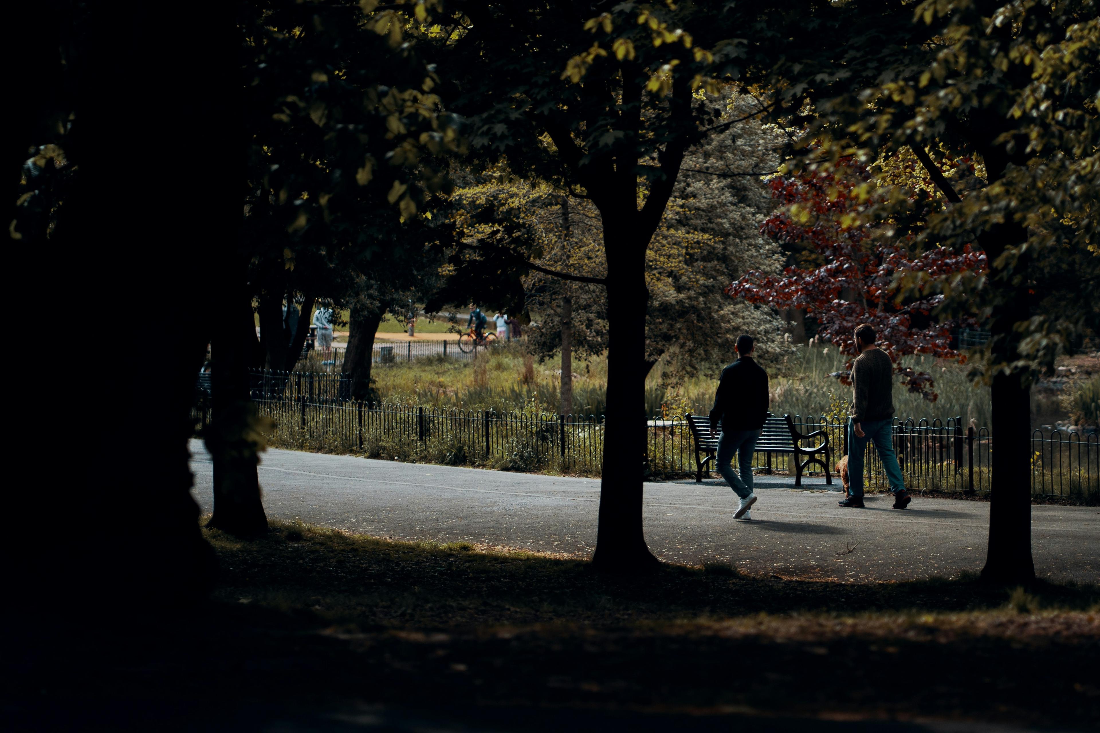 Two people walking through a park with trees casting shadows. A bench is visible.
