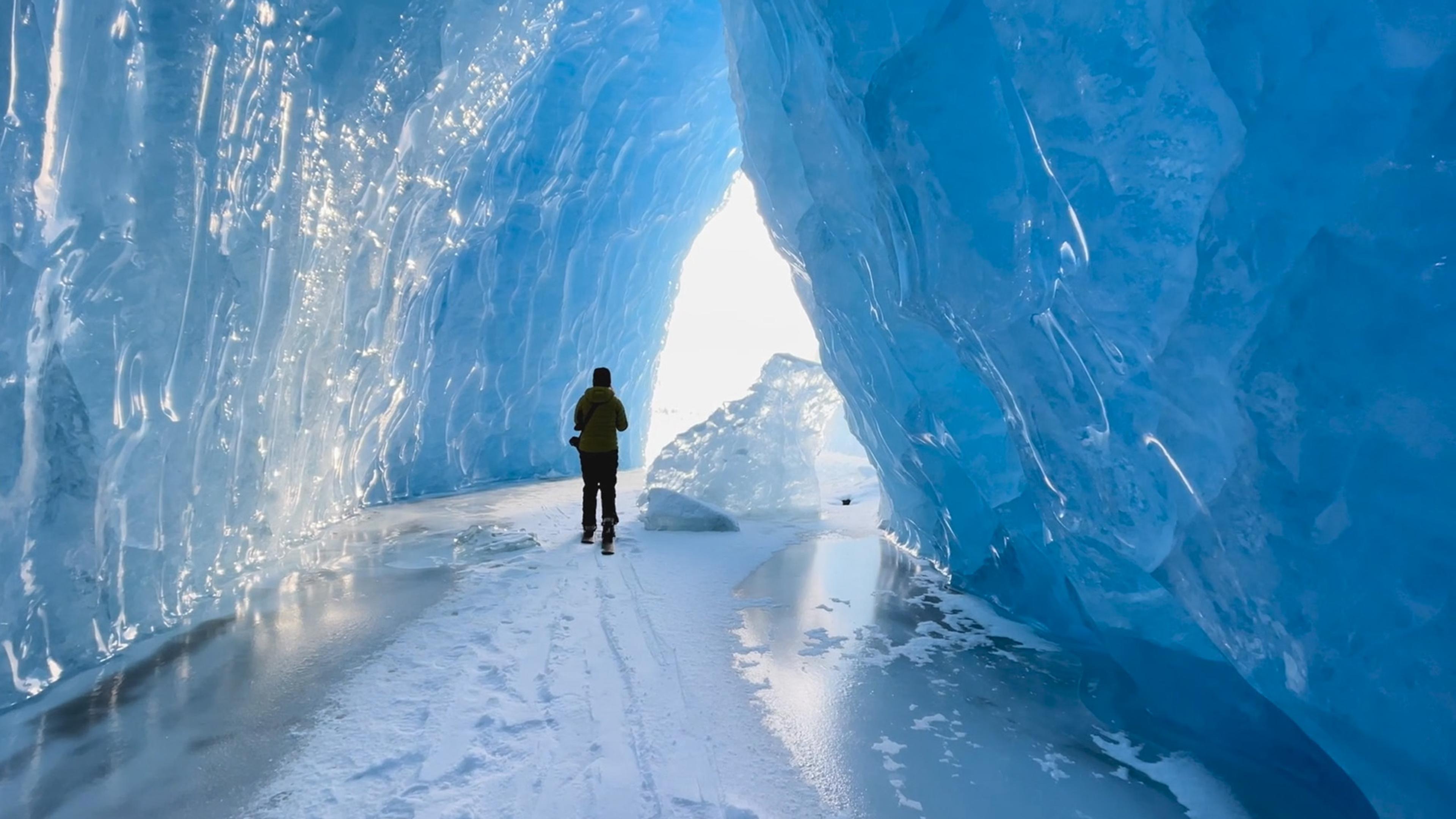 It’s unreal – in the best way.' Acacia captures visual poetry at