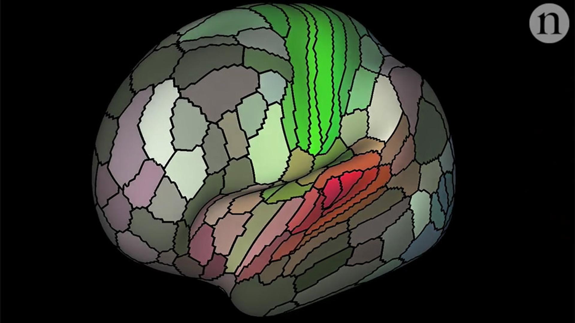 See how our brains group words by meaning in surprisingly complex ...