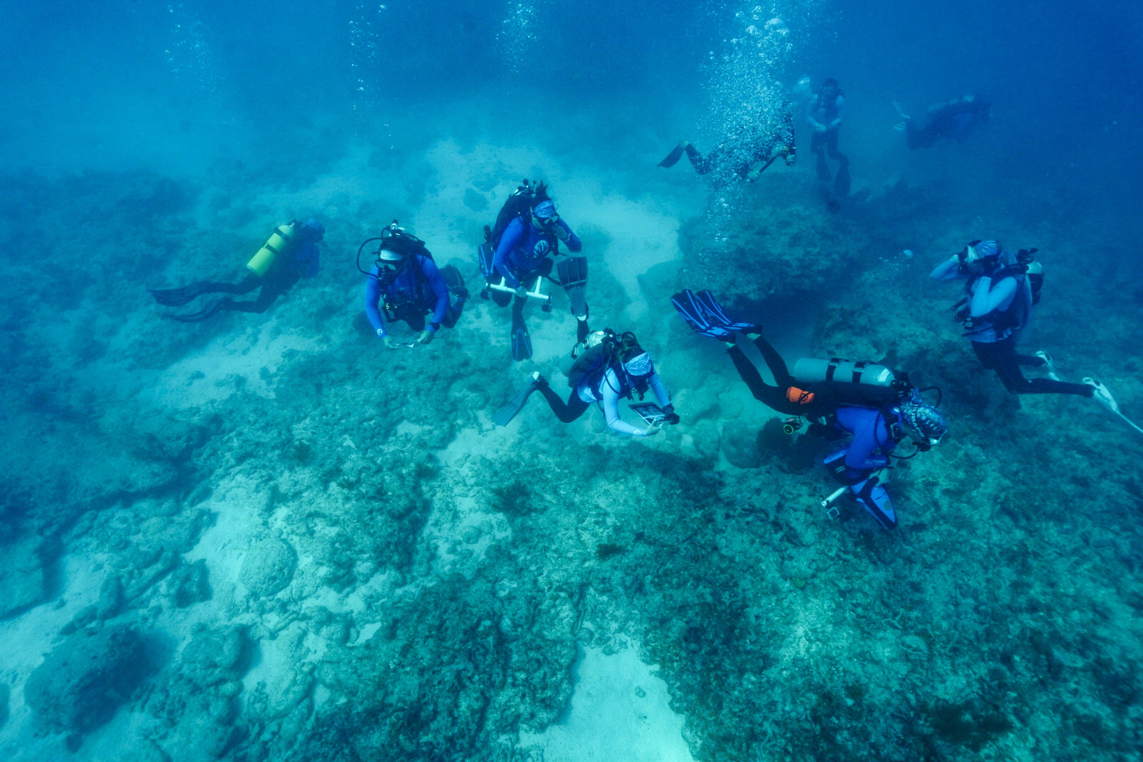 Photo of seven scuba divers exploring an underwater rocky area with bubbles rising in a clear blue ocean setting.