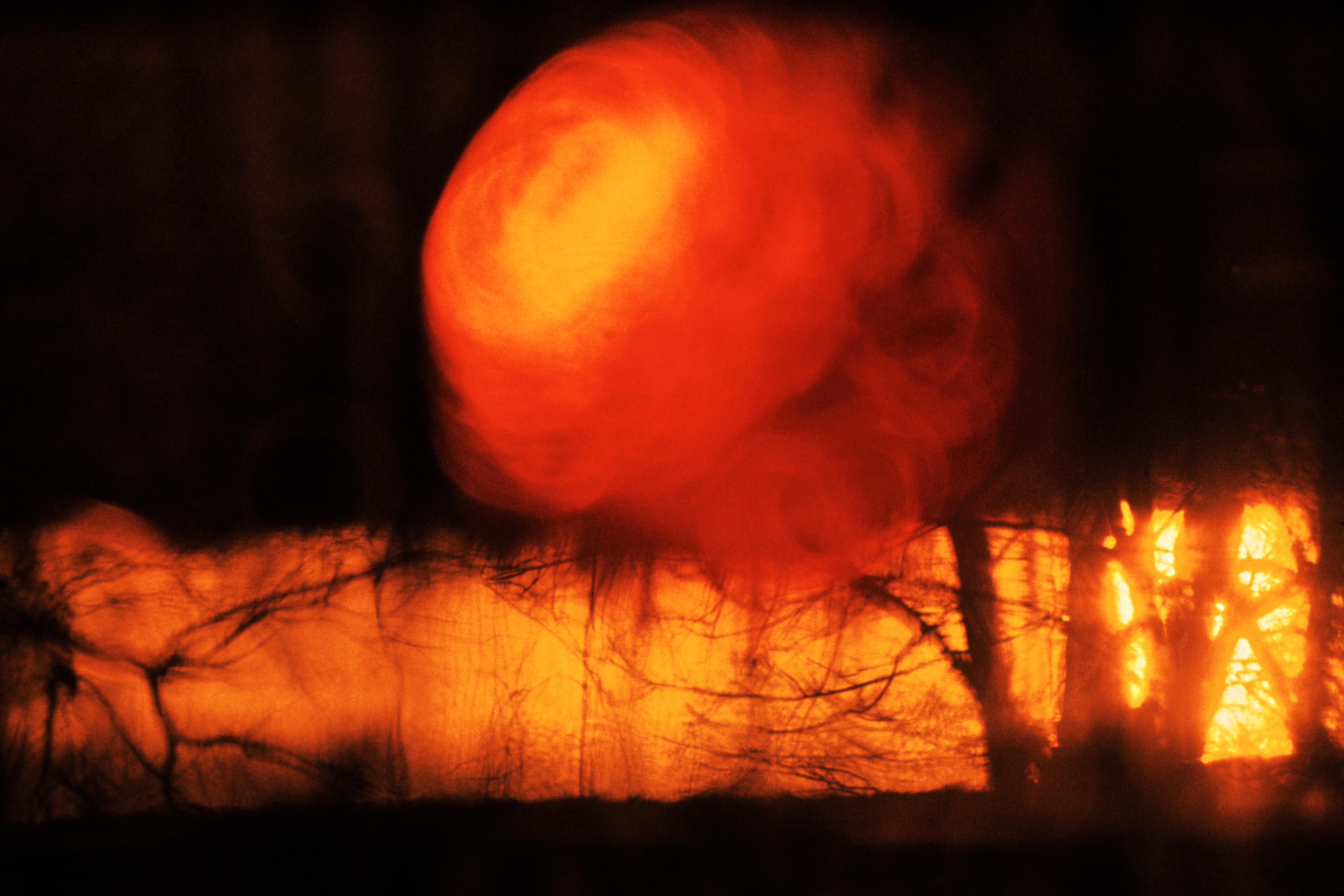 Abstract photo of a vivid orange-red sunset blurred by branches, creating a painterly effect.