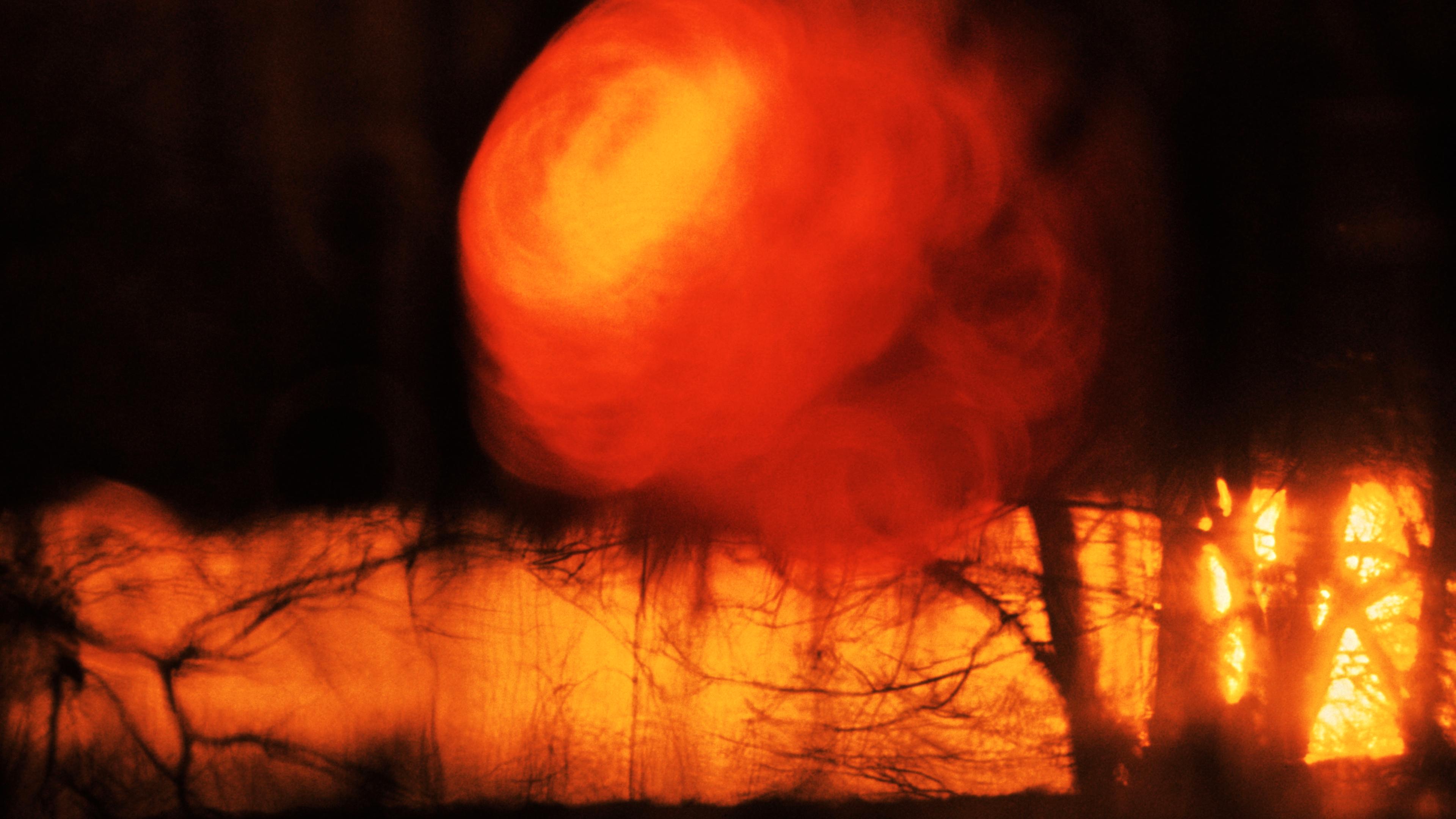 Abstract photo of a vivid orange-red sunset blurred by branches, creating a painterly effect.