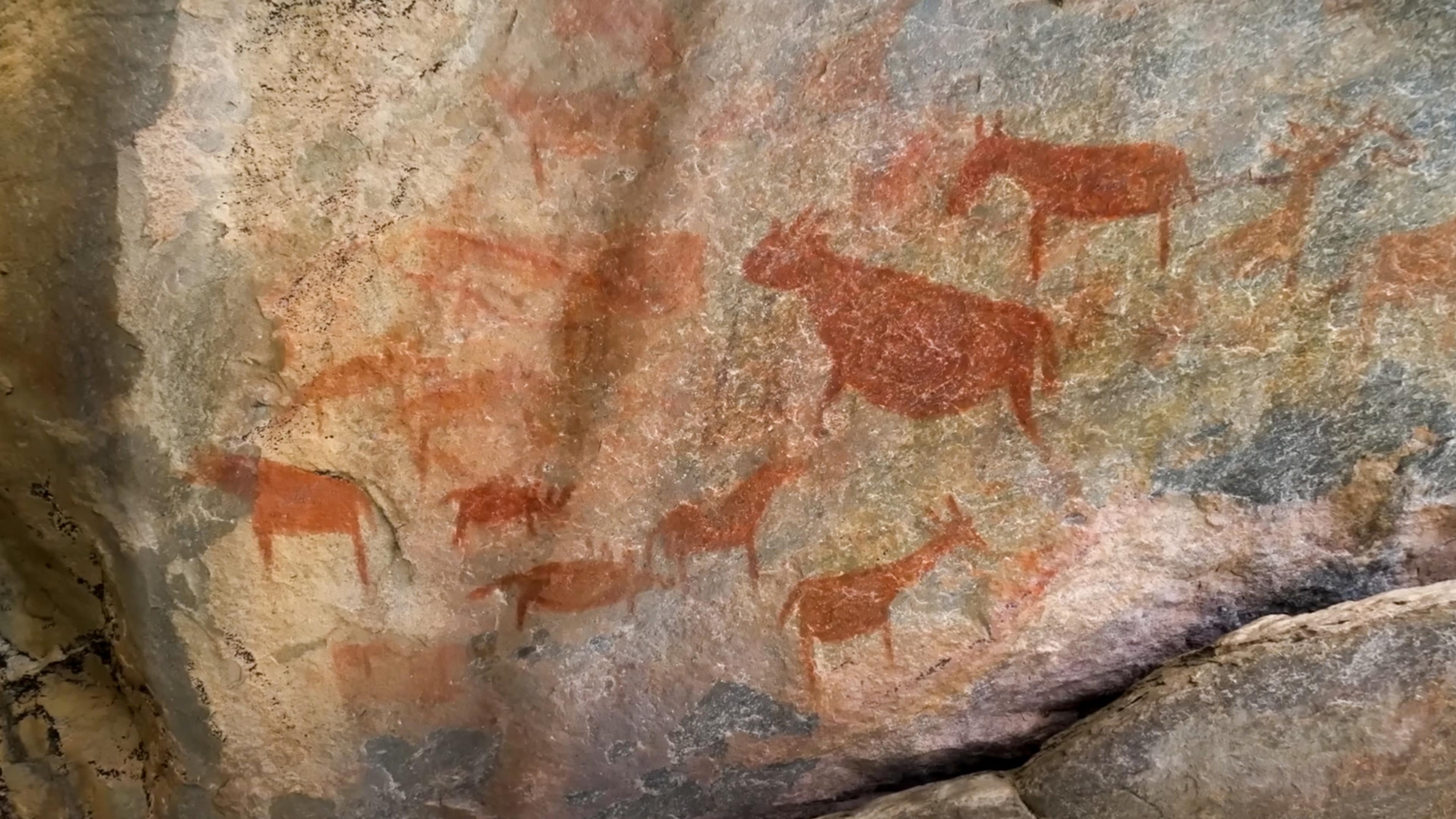 Rock painting of animals in red pigment on a rough stone surface, depicting various quadrupeds across the rocky wall.