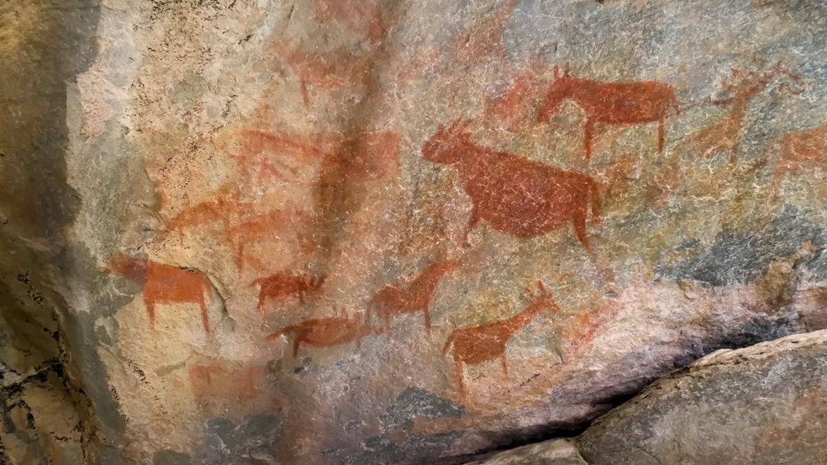 Wat het Woestijnlouvre onthult over de menselijke geschiedenis