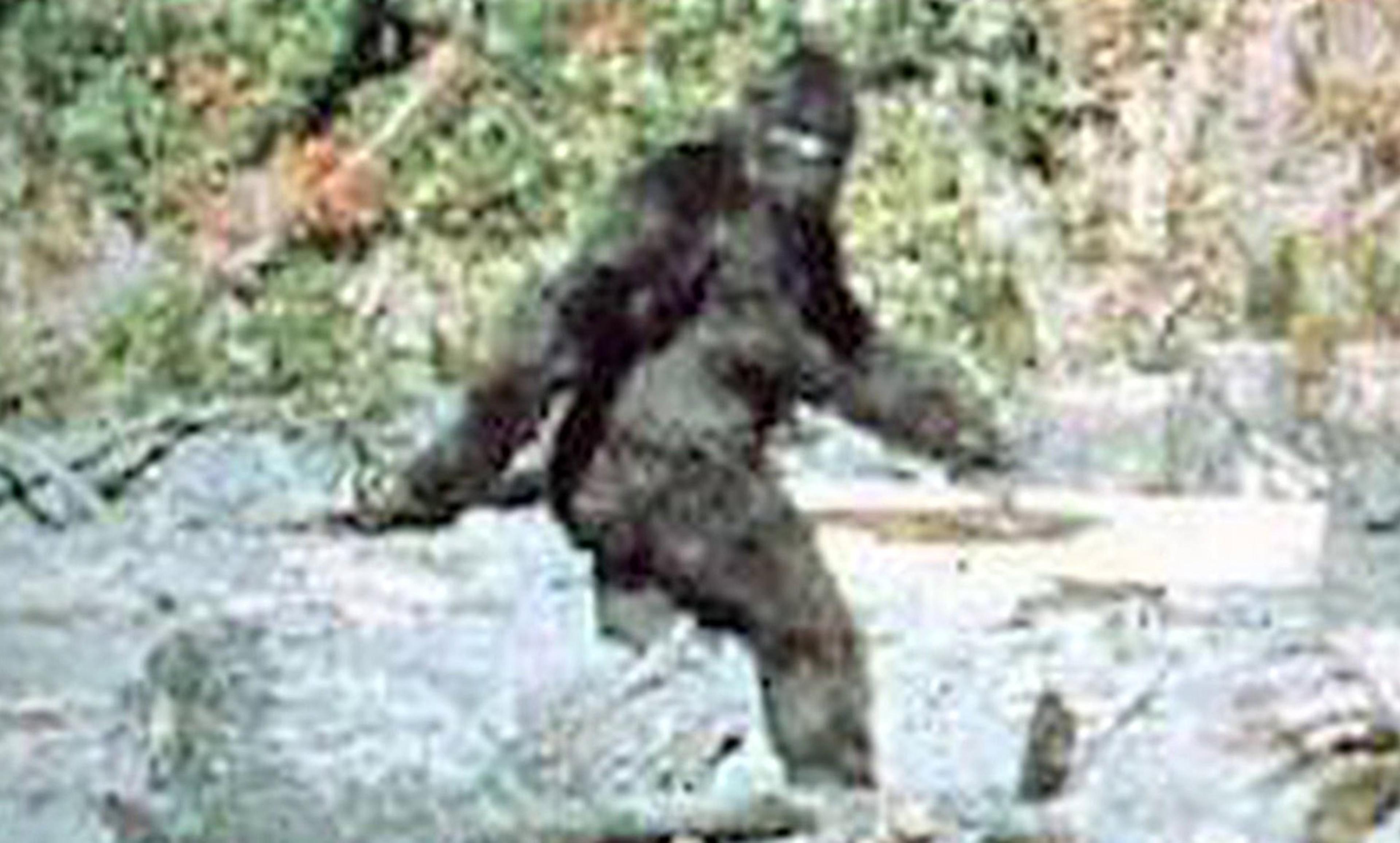 Bigfoot: The Life and Times of a Legend, Buhs