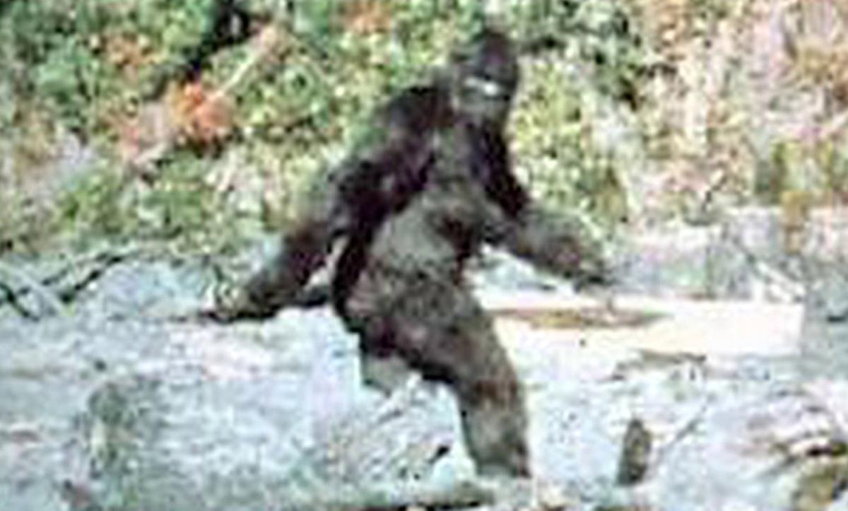 Why Sasquatch and other crypto-beasts haunt our imaginations | Aeon Ideas