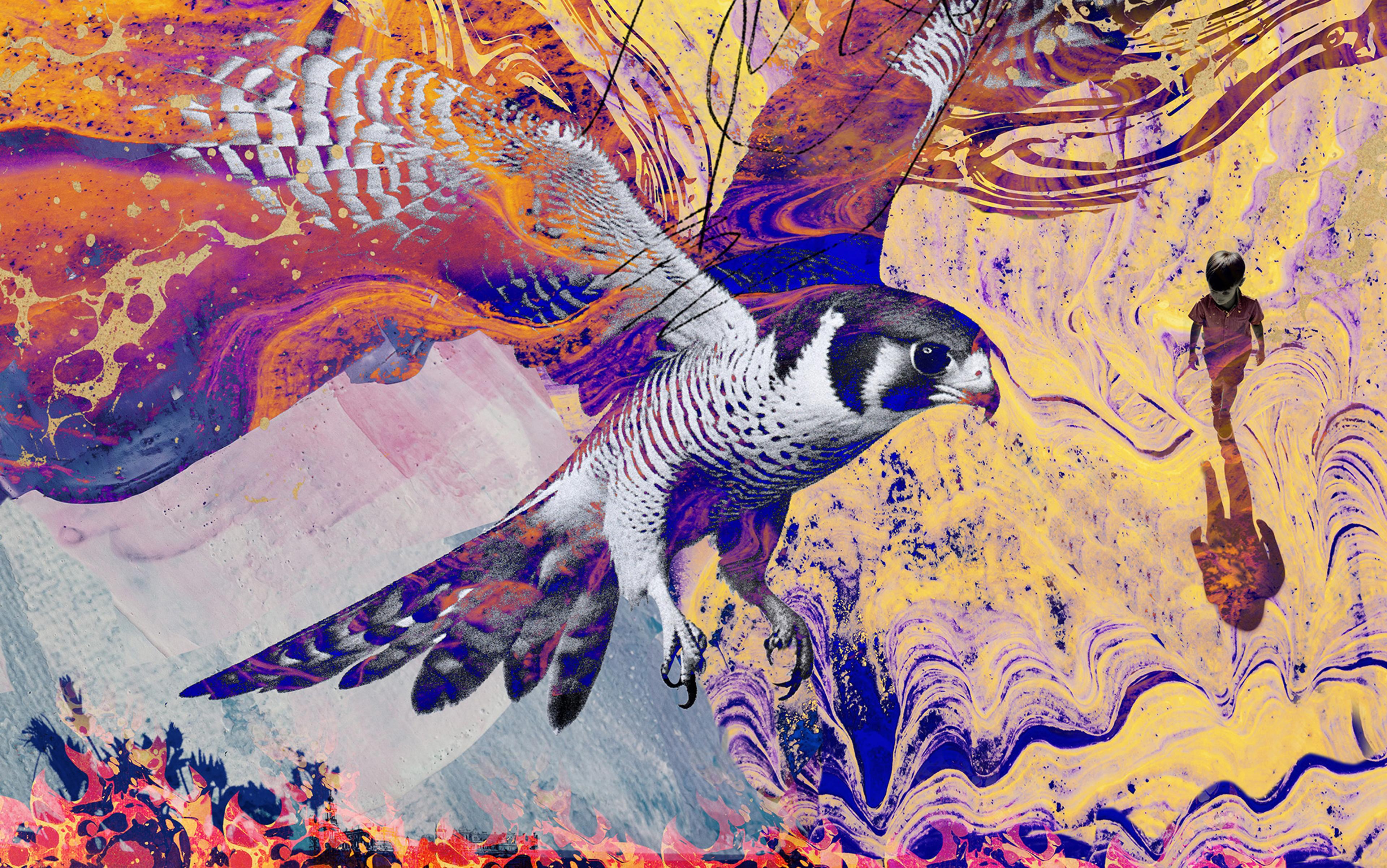 A colourful, abstract image featuring a large, black and white bird in flight. The background is a swirling mix of purple, orange, and yellow hues. A small figure of a child walks in the distance, casting a long shadow.