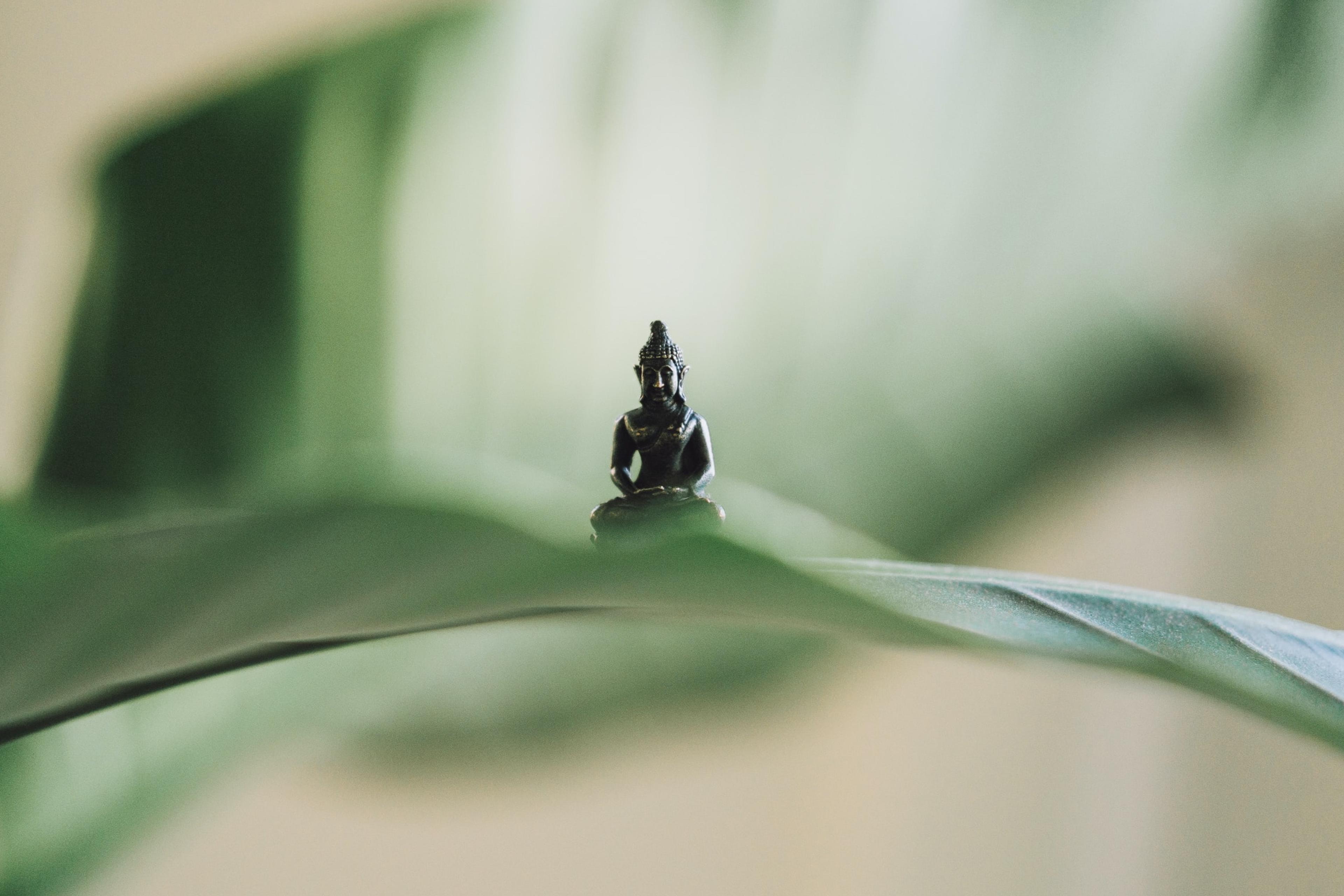 Photo of a small Buddha statue sitting on a large green leaf with a soft blurred background.