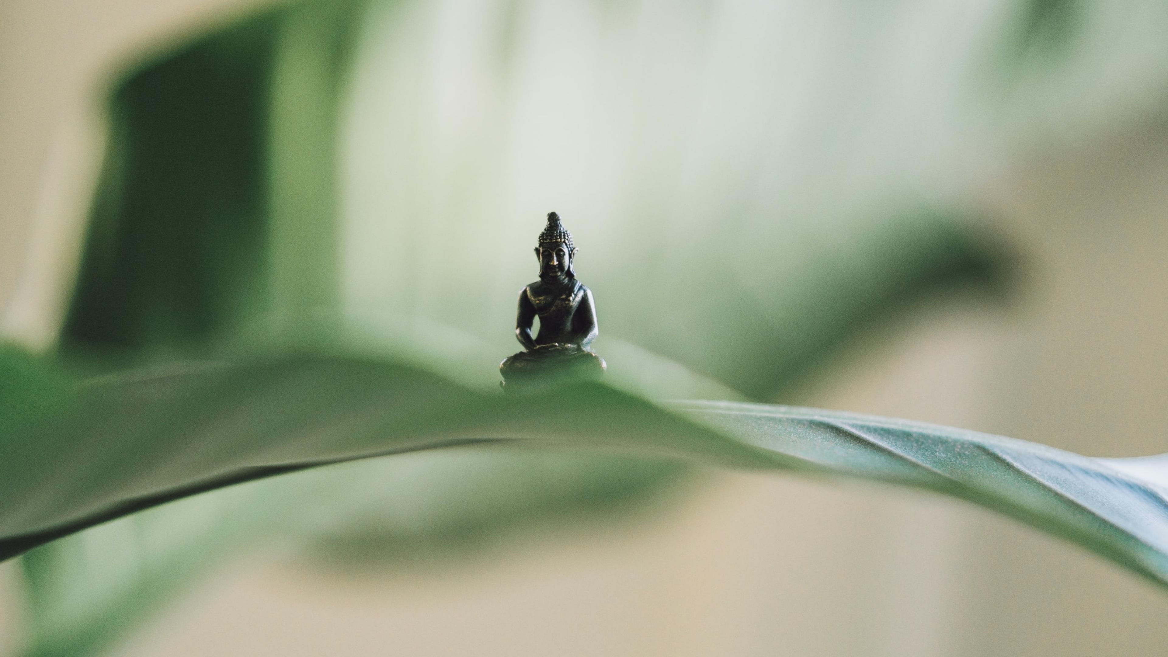 Photo of a small Buddha statue sitting on a large green leaf with a soft blurred background.
