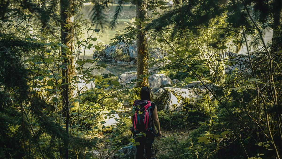 A person with a backpack hiking through a dense forest towards a rocky riverbank.