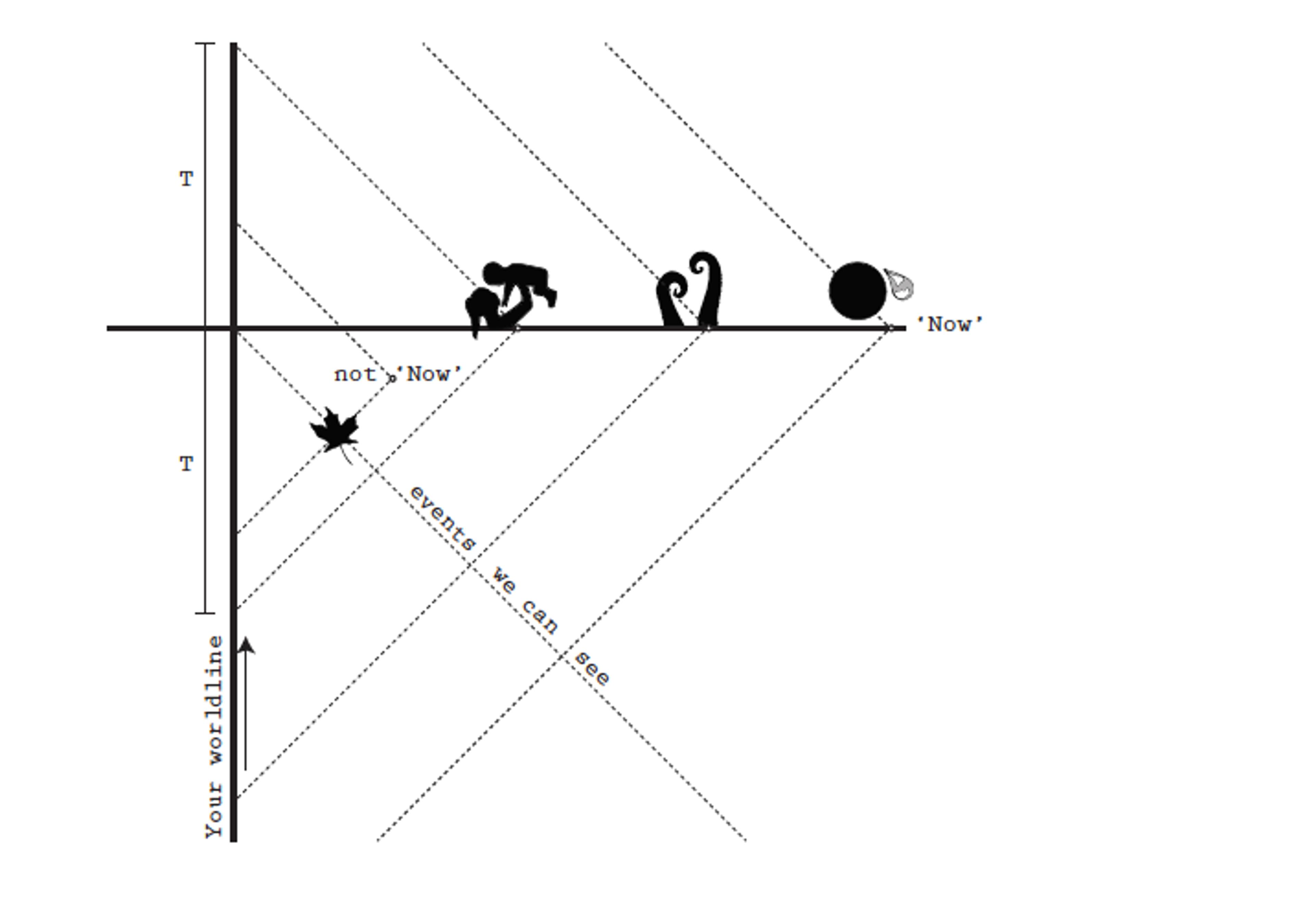 Diagram with creatures and an arrow marking “Your worldline” intersecting with a horizontal line labelled as “Now”, indicating events we can see.