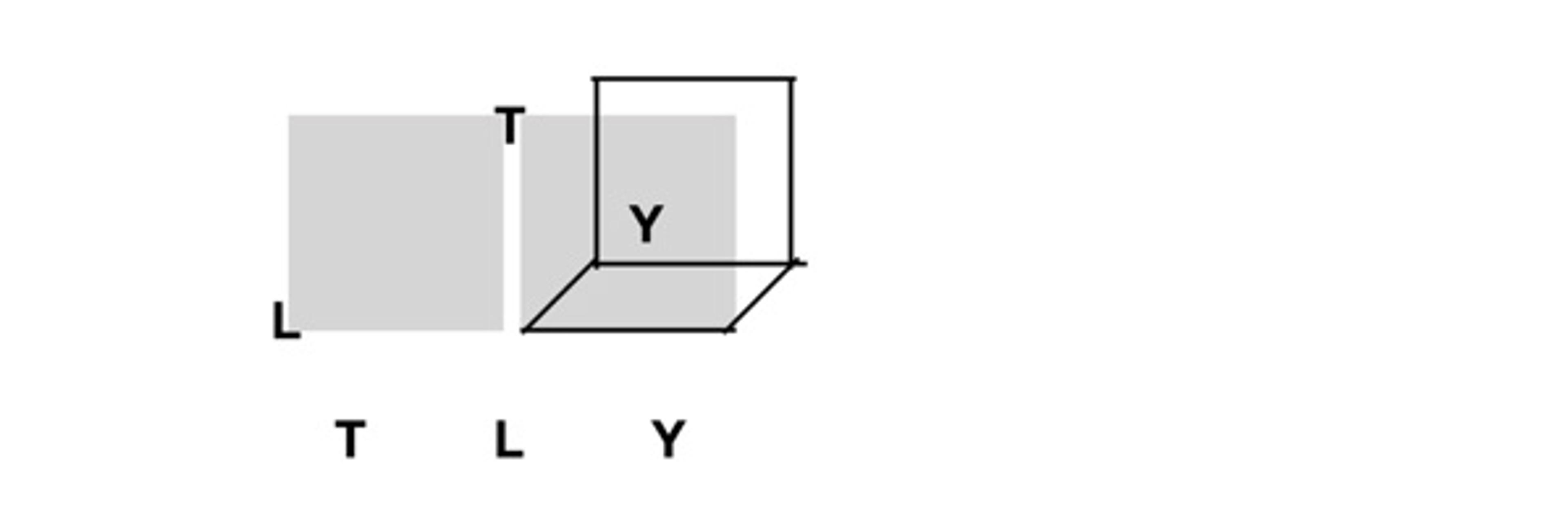 Diagram with grey shaded squares overlaid by black outlined cubes containing the letters L, T, Y at various positions for illustration purposes.