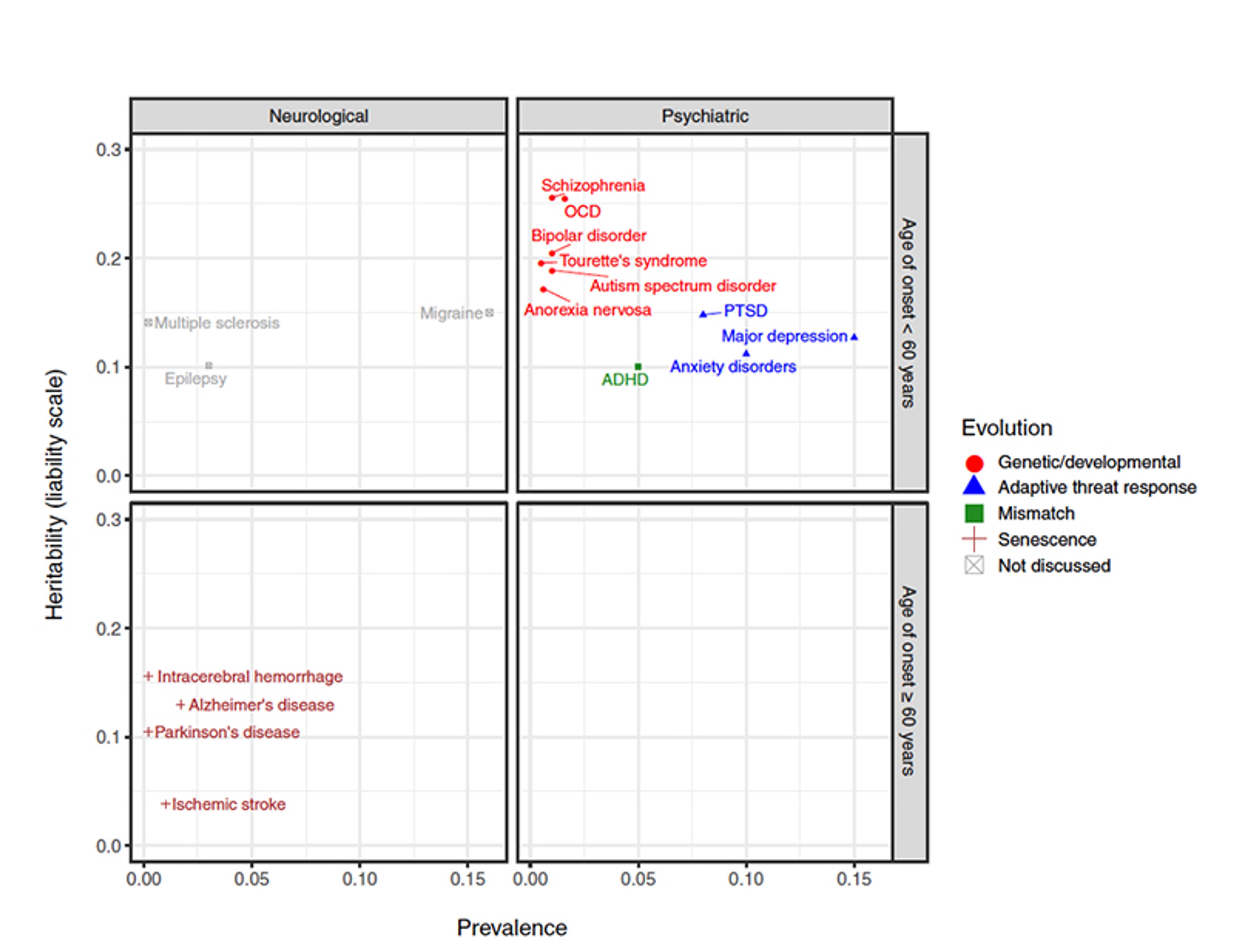 A scatter plot contrasting neurological and psychiatric disorders by heritability, age of onset and prevalence, with colour-coded evolution markers.