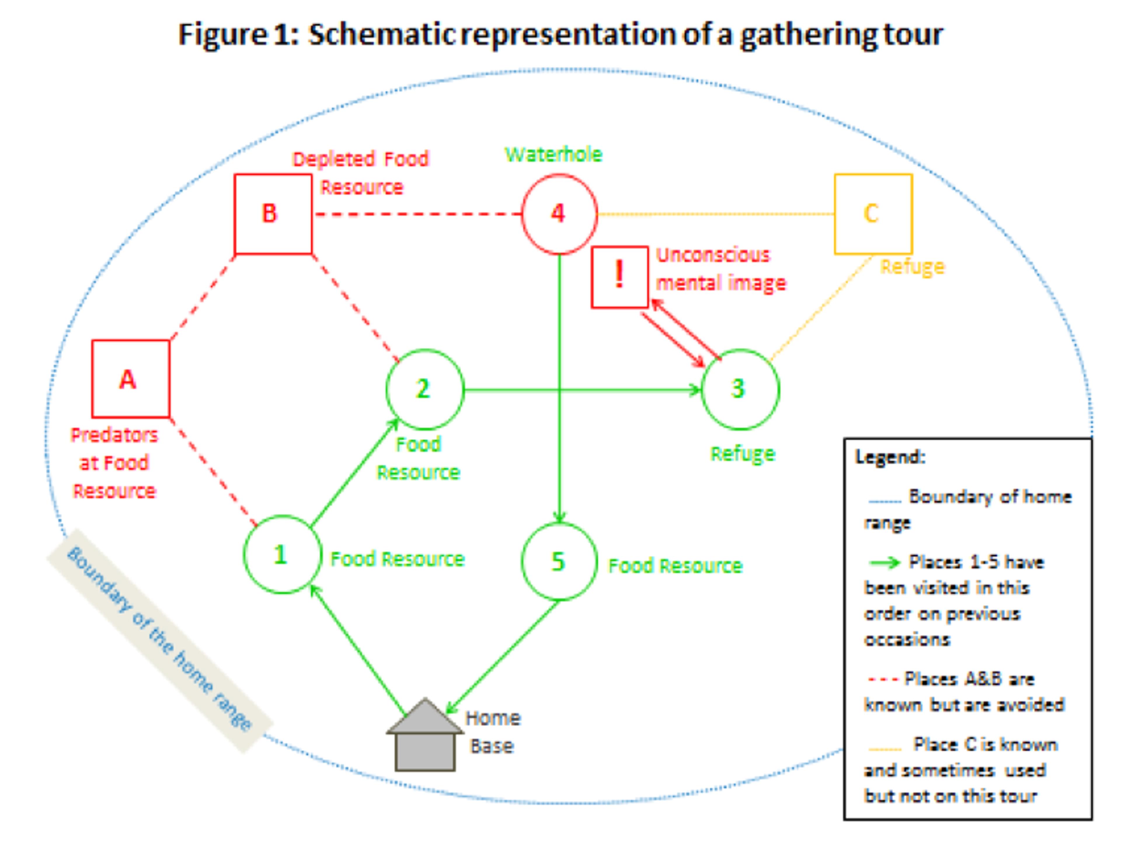 Schematic representation of a gathering tour showing various sites like food resources, refuges, waterhole, predator locations, and home base. Diagram.