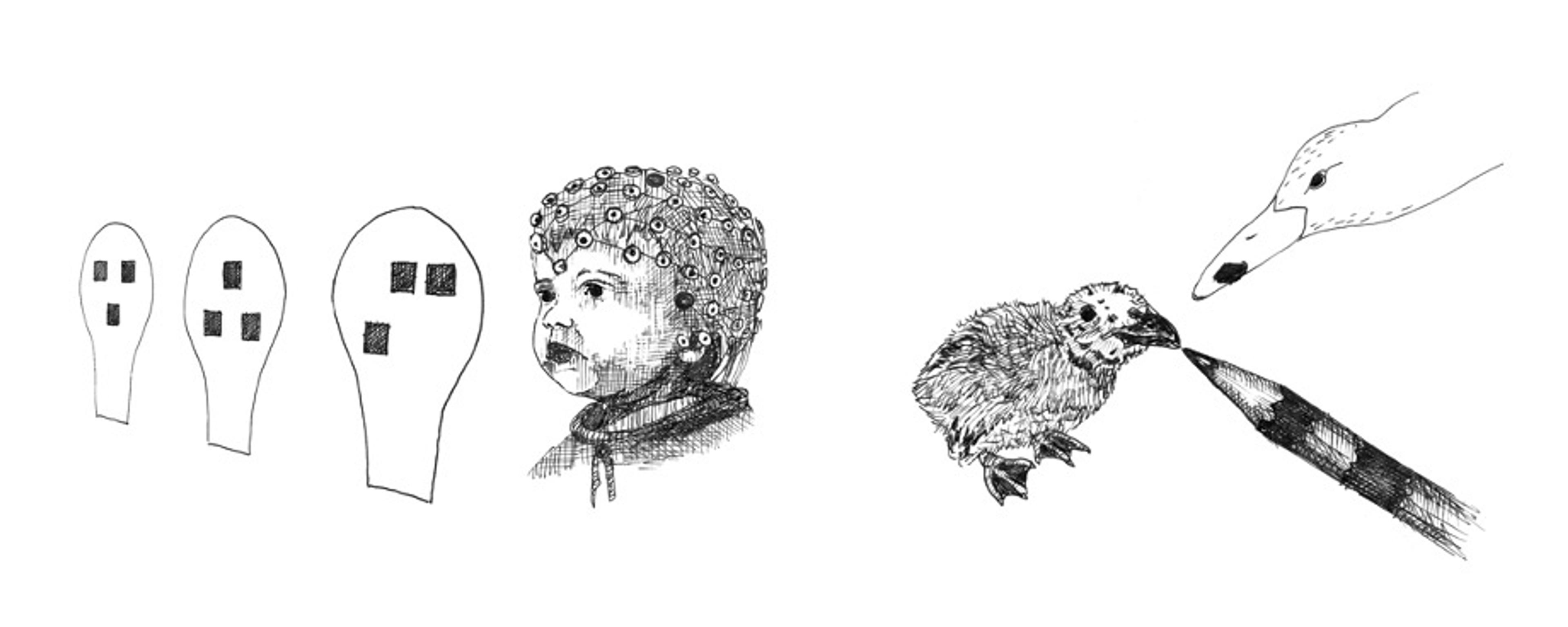 Illustration of abstract faces, a baby in a sensor cap, a chick at a pencil and a bird’s beak touching the pencil.