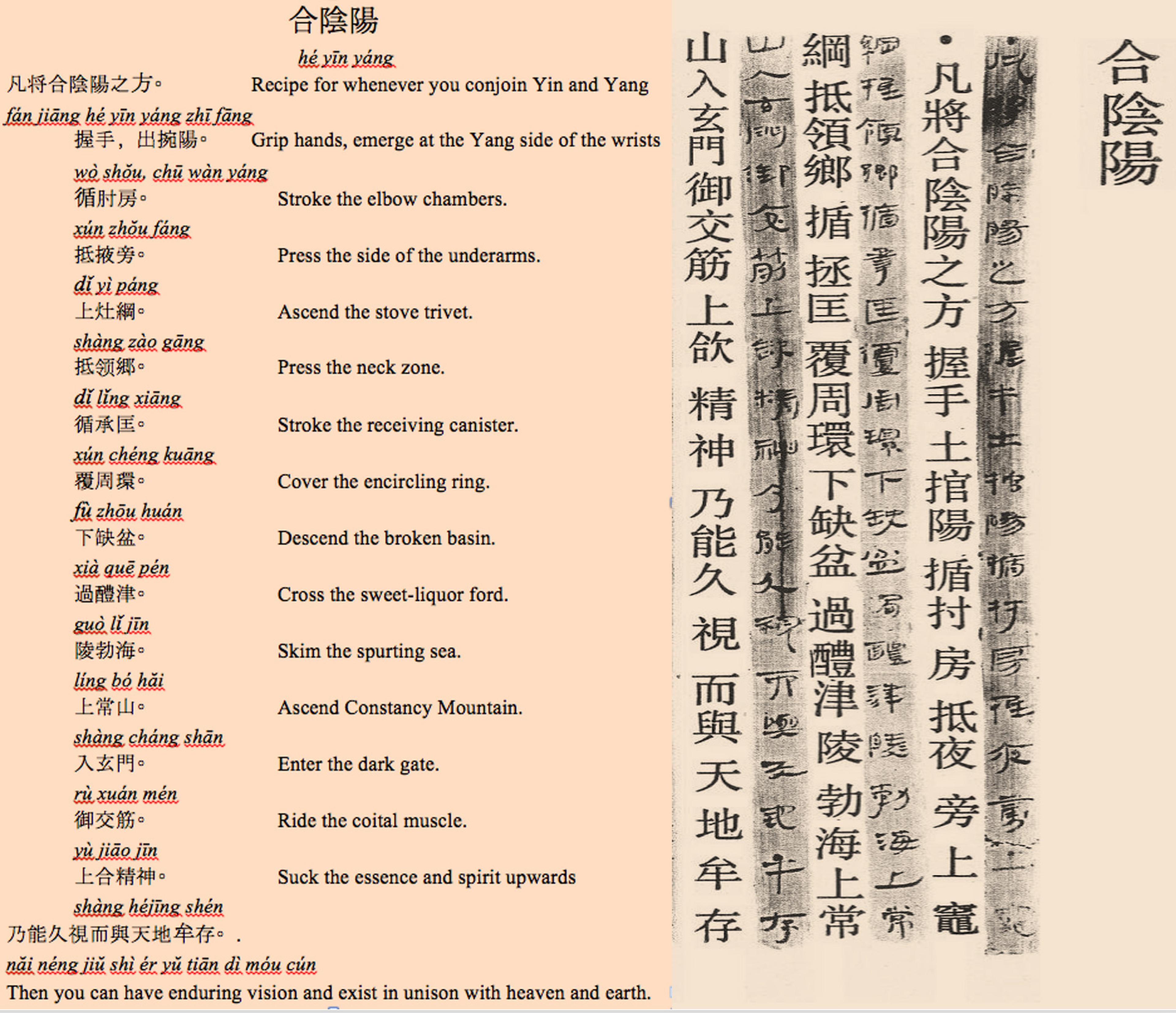 Side-by-side image showing a translated text of a traditional Chinese recipe for Yin and Yang, along with the original Chinese script.