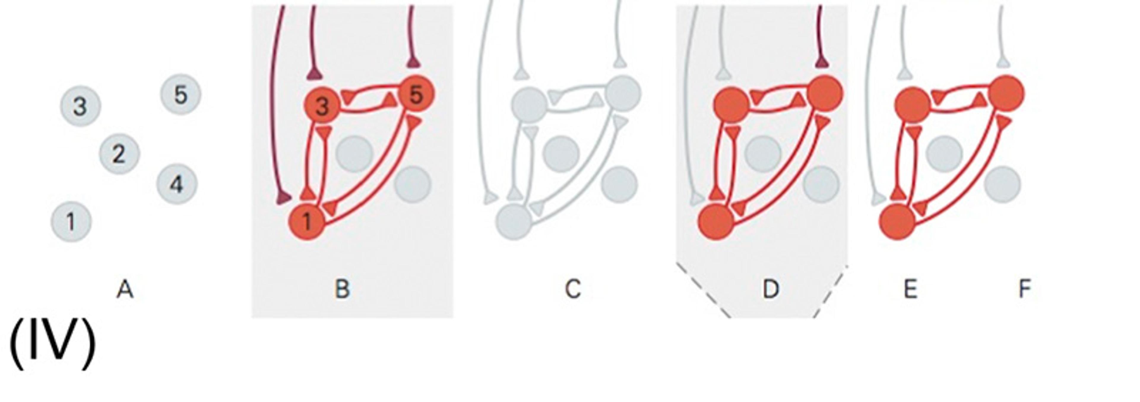Diagrams labelled A to F showing network structures with numbered nodes and connecting lines, transitioning from grey to red.
