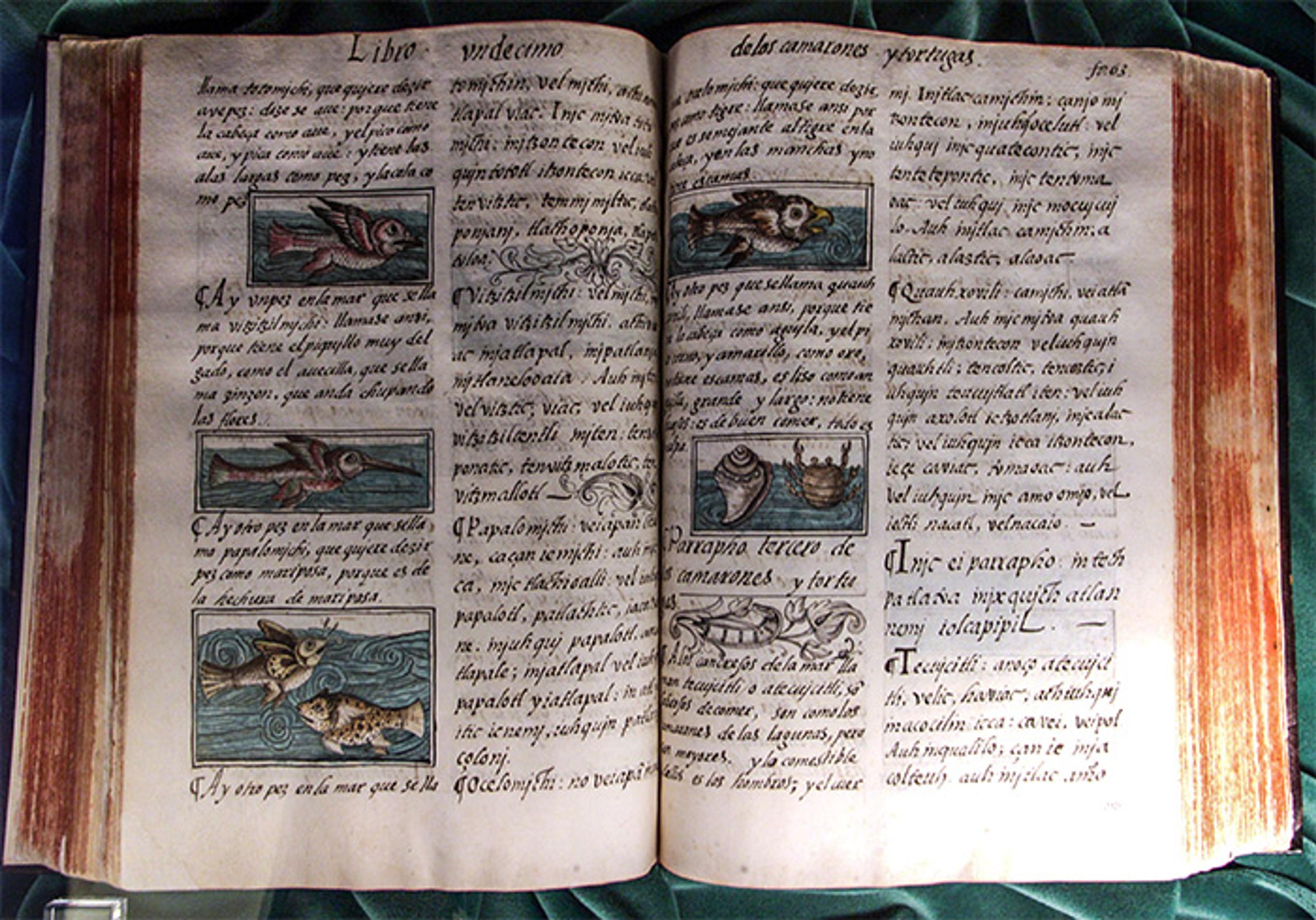 Photo of an open old book with text and coloured illustrations of birds and other animals, lying on a dark green fabric background.