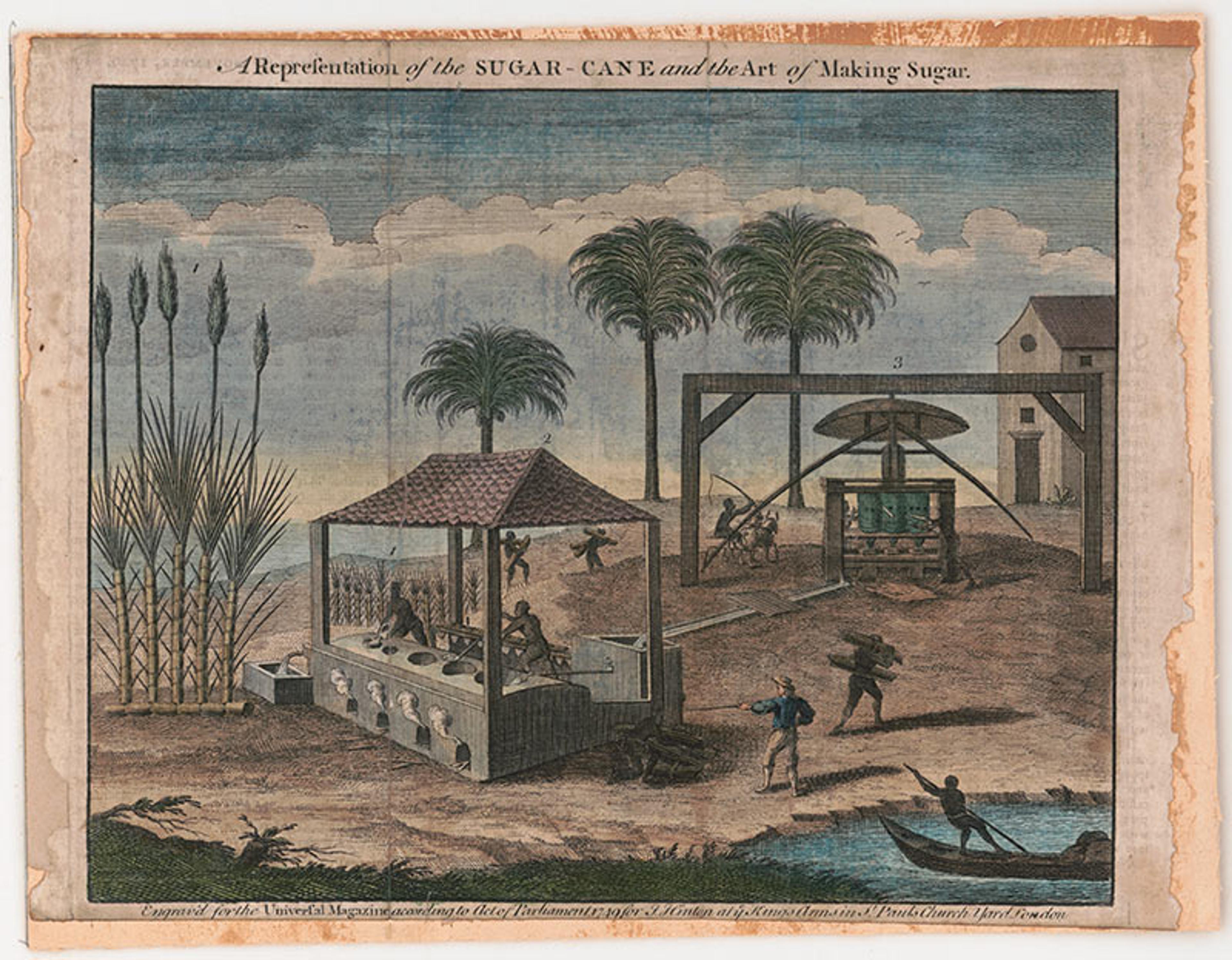 A painting depicting sugar cane harvesting and sugar production with workers, machinery, and palm trees in the background.